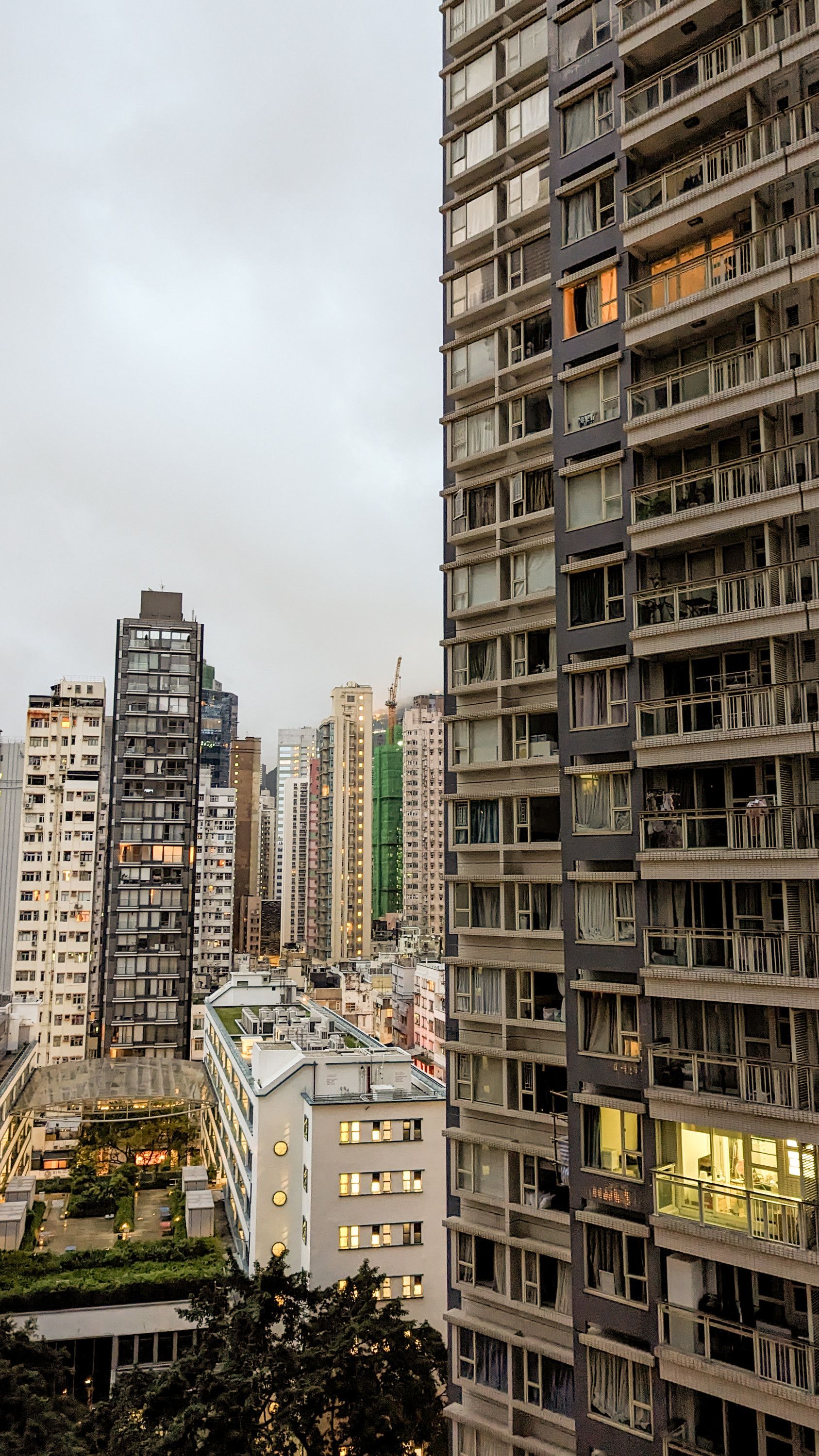 Hong Kong dawn chorus episode artwork