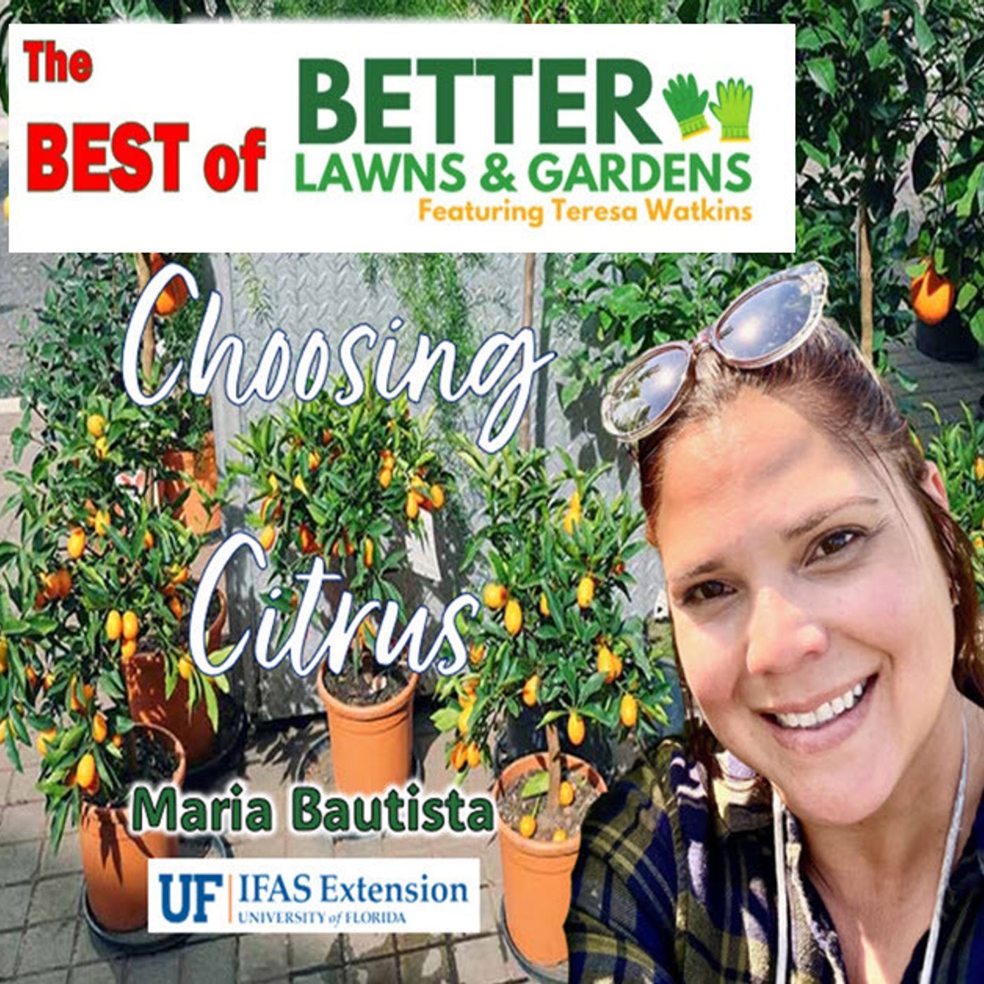 Best of Better Lawns and Gardens - Hour 1 Choosing Citrus November 29, 2025