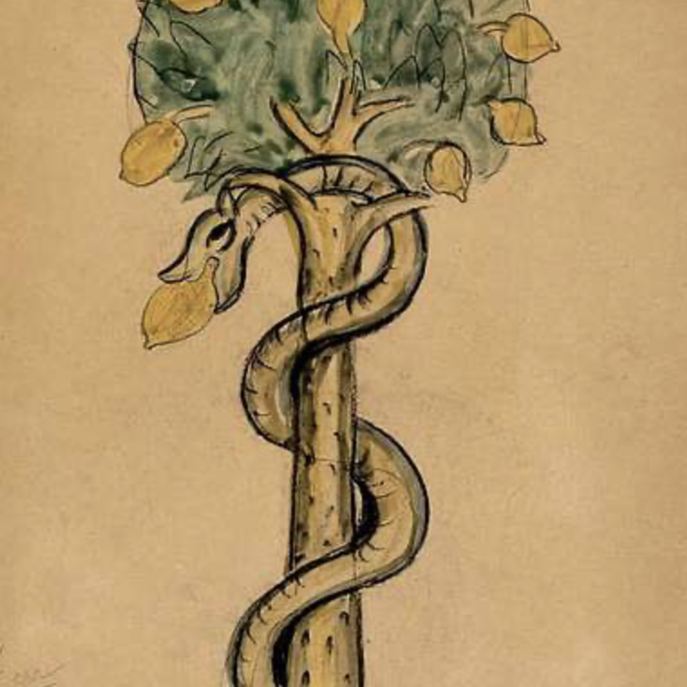 S8 Ep147: Alarming Urban Home Invasion: Venomous Brown Snake in Canberra — Jeremy Zakis — Zakis reported on a concerning home invasion in Canberra involving a highly venomous great eastern brown snake, one of Australia's deadliest species. The family discovered the S8 Ep147: Alarming Urban Home Invasion: Venomous Brown Snake in Canberra — Jeremy Zakis — Zakis reported on a concerning home invasion in Canberra involving a highly venomous great eastern brown snake, one of Australia's deadliest species. The family discovered the