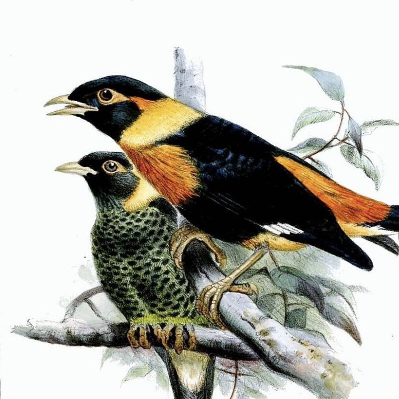 S8 Ep150: 4/4. Climate Pragmatism and Denial of Renewable Energy Constraints — Terry Anderson (Editor) — Anderson highlights Bjorn Lomborg's "climate pragmatism" framework, which advocates rational spending prioritizing immediate human needs rather than attempting