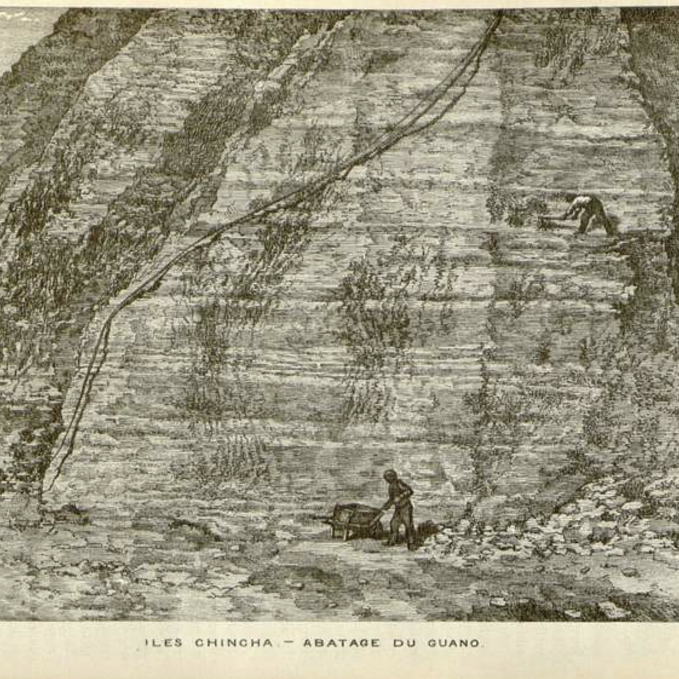 S8 Ep149: 5/8. Guano, Tragedy, and the Rise of Intensive Farming — Steven Moss — Moss discusses seabird guano (nutrient-rich droppings), first recognized as a valuable resource by the Incas and subsequently monetized by William Gibbs, who accumulated immense wealth
