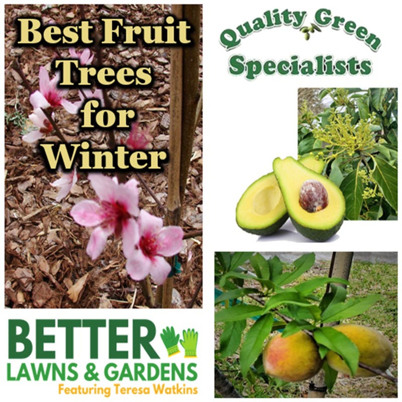 Better Lawns and Gardens