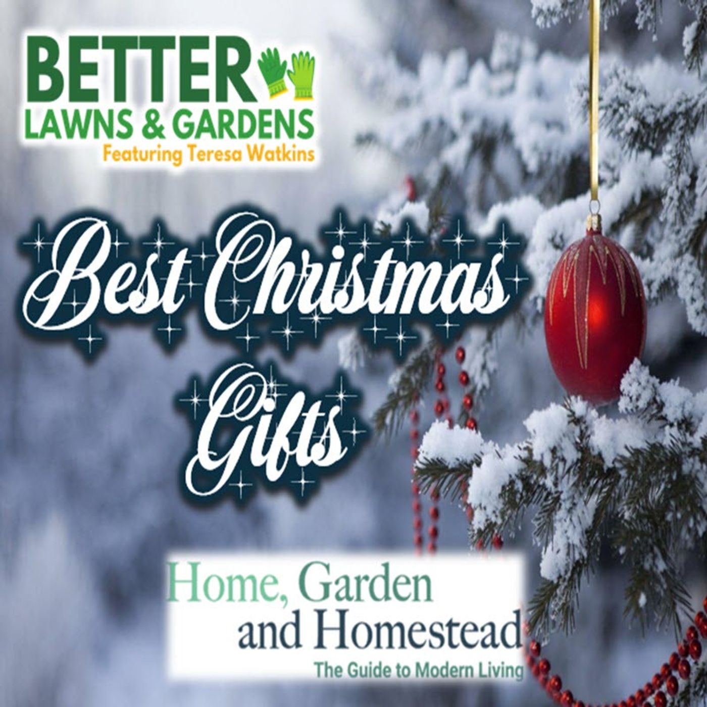 S2 Ep408: Better Lawns and Gardens - Hour 2 Best Christmas Gifts December 6, 2025 S2 Ep408: Better Lawns and Gardens - Hour 2 Best Christmas Gifts December 6, 2025