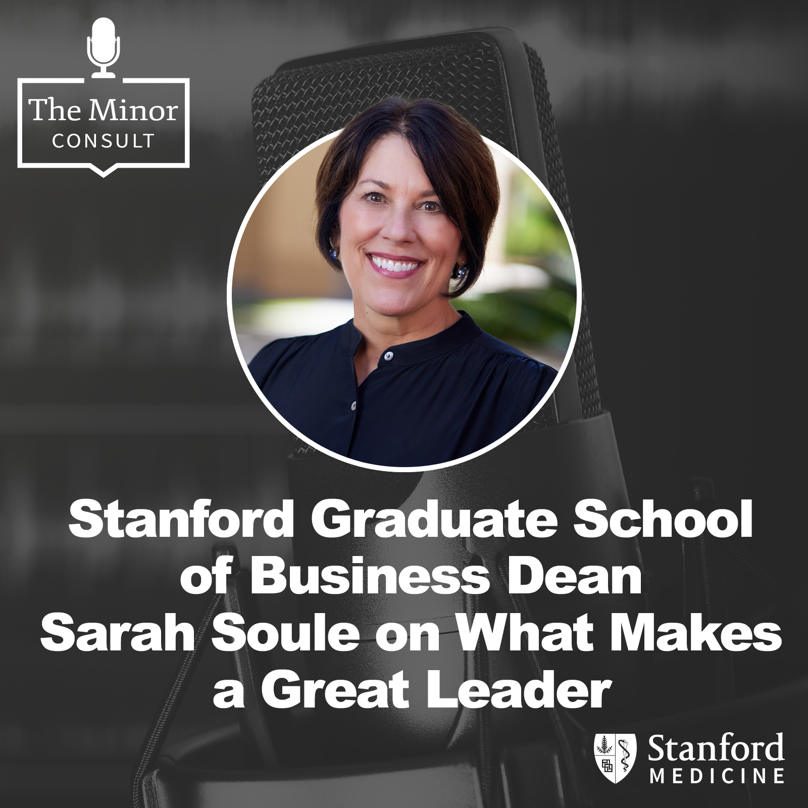 S9 Ep3: Stanford Graduate School of Business Dean Sarah Soule on What Makes a Great Leader S9 Ep3: Stanford Graduate School of Business Dean Sarah Soule on What Makes a Great Leader