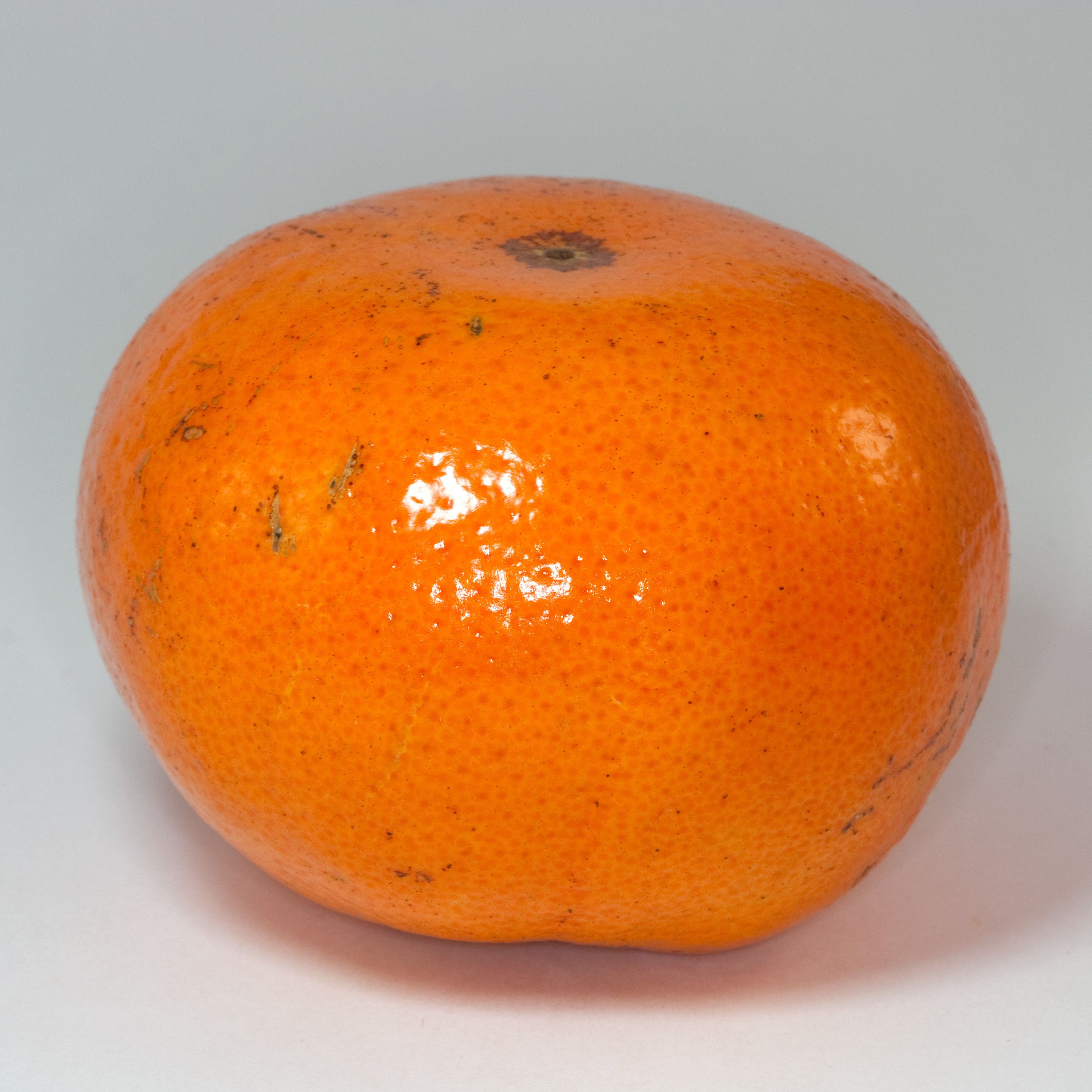 S3 Ep592: Tangerijnen, een nauwelijks bekende citrusvrucht - Info over DMPS S3592 episode artwork