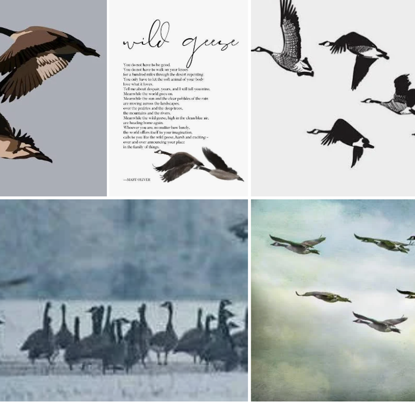 #Napodpomo 2/30. READING POETRY:  “Wild Geese”  by Mary Oliver episode artwork