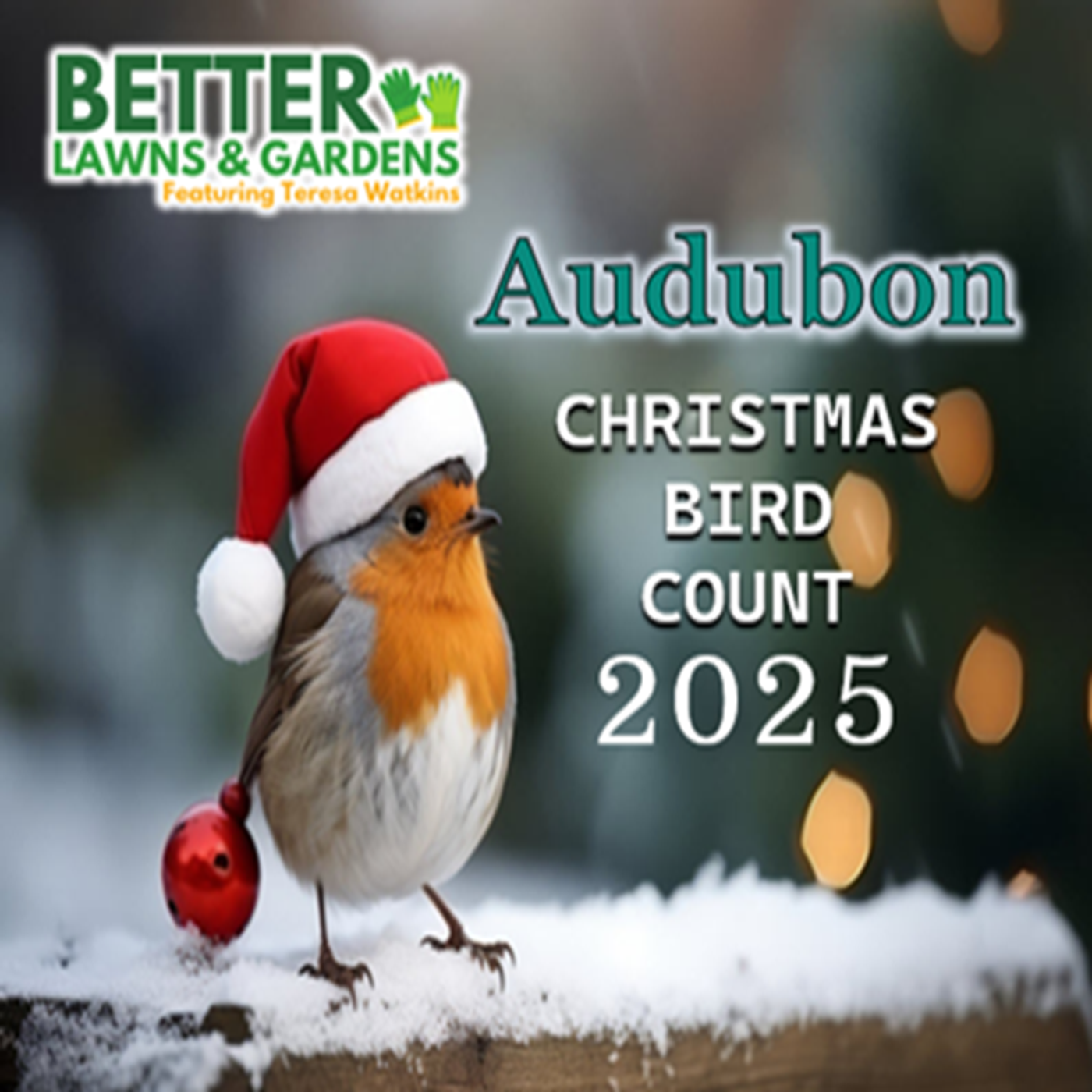 Better Lawns and Gardens - Hour 2 Audubon Christmas Bird Count December 13, 2025