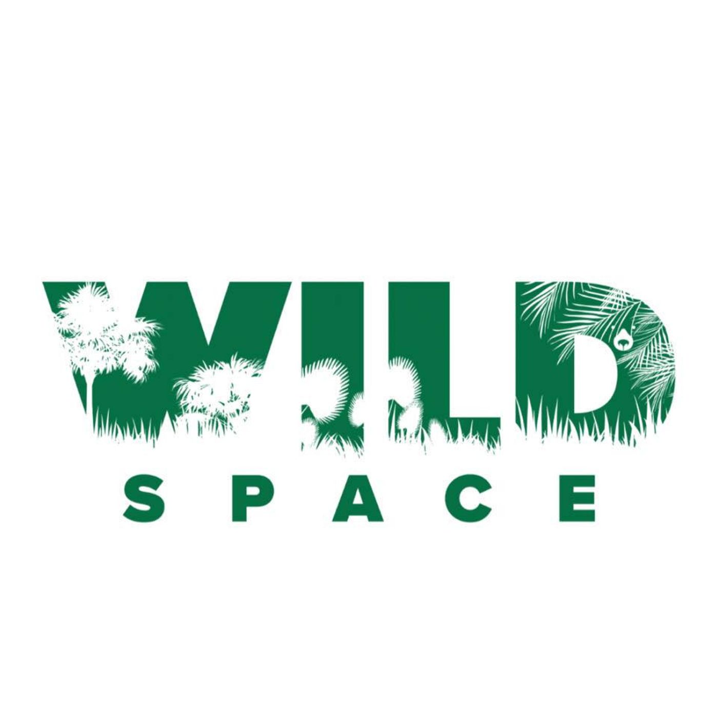 Radio St. Pete Podcast Archive