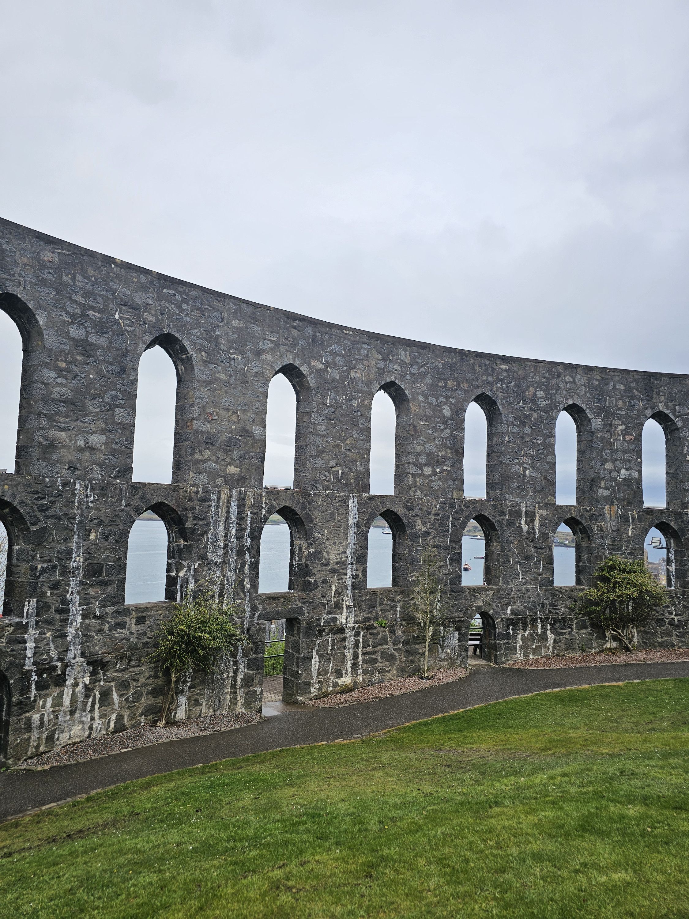 Chaffinches in McCaig's Tower
