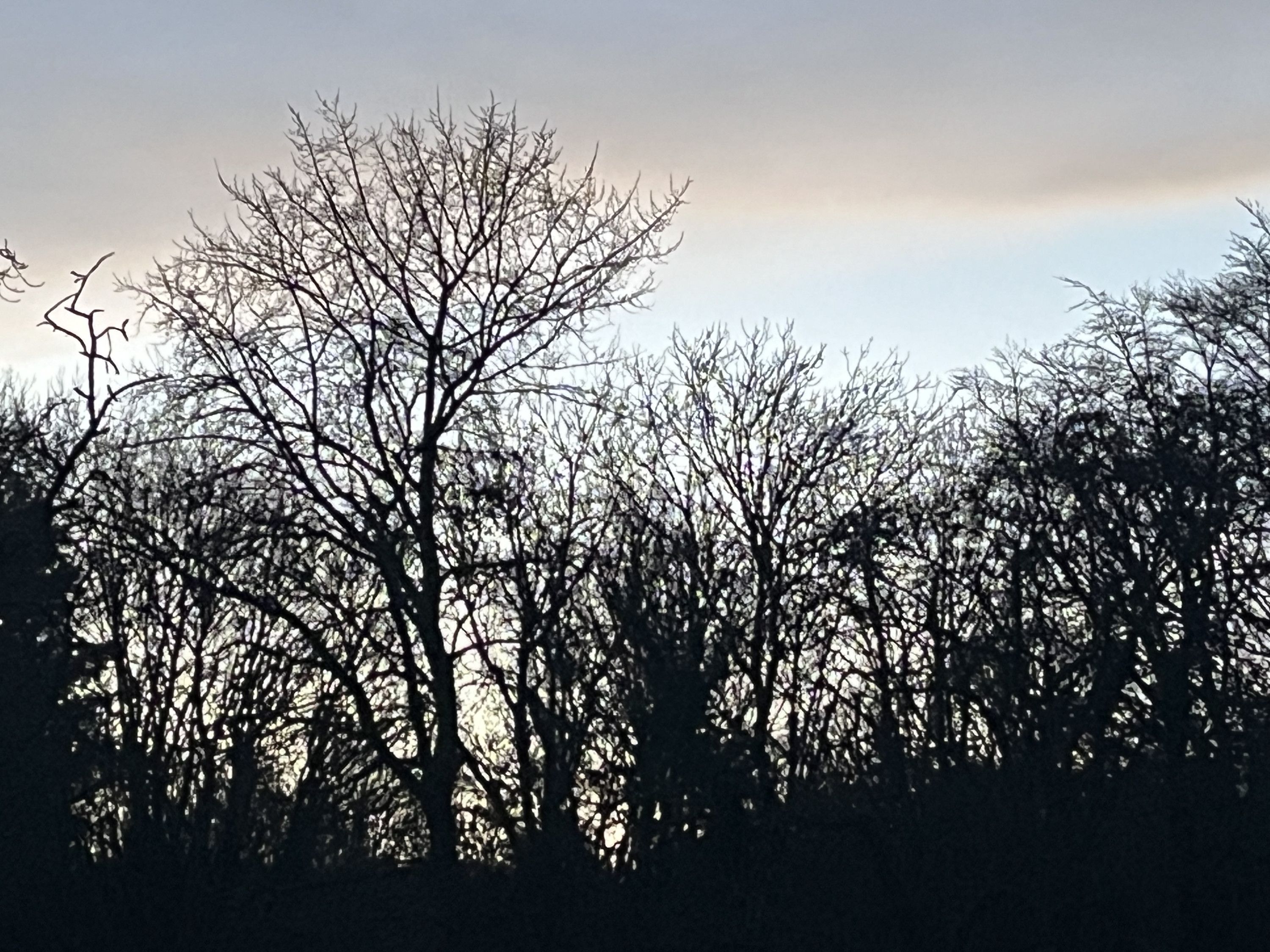 Very bad company yesterday.   Episode 19/31  #DecPodPoMo