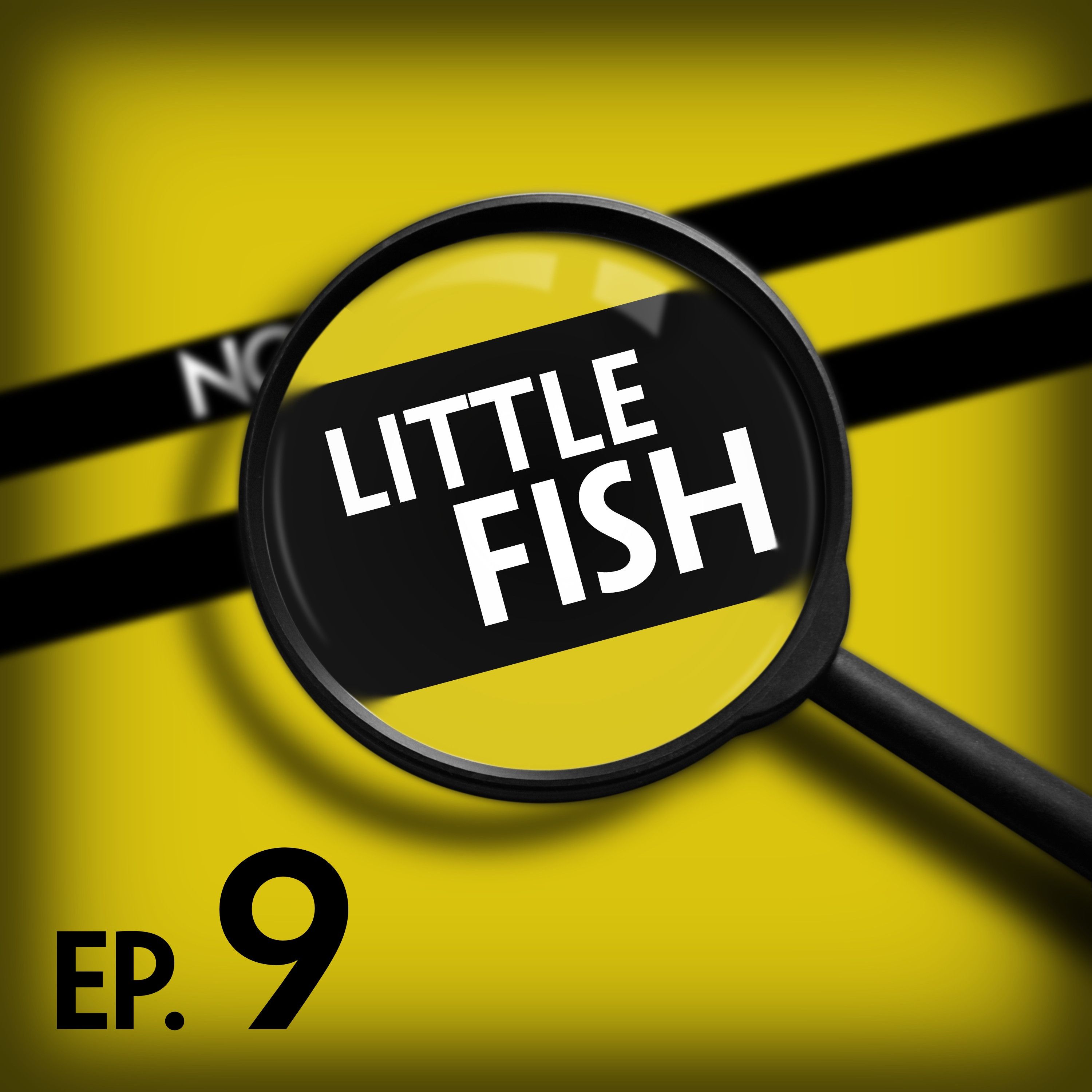 Little Fish: A Biscuit, A Railway Station, And A Mutt