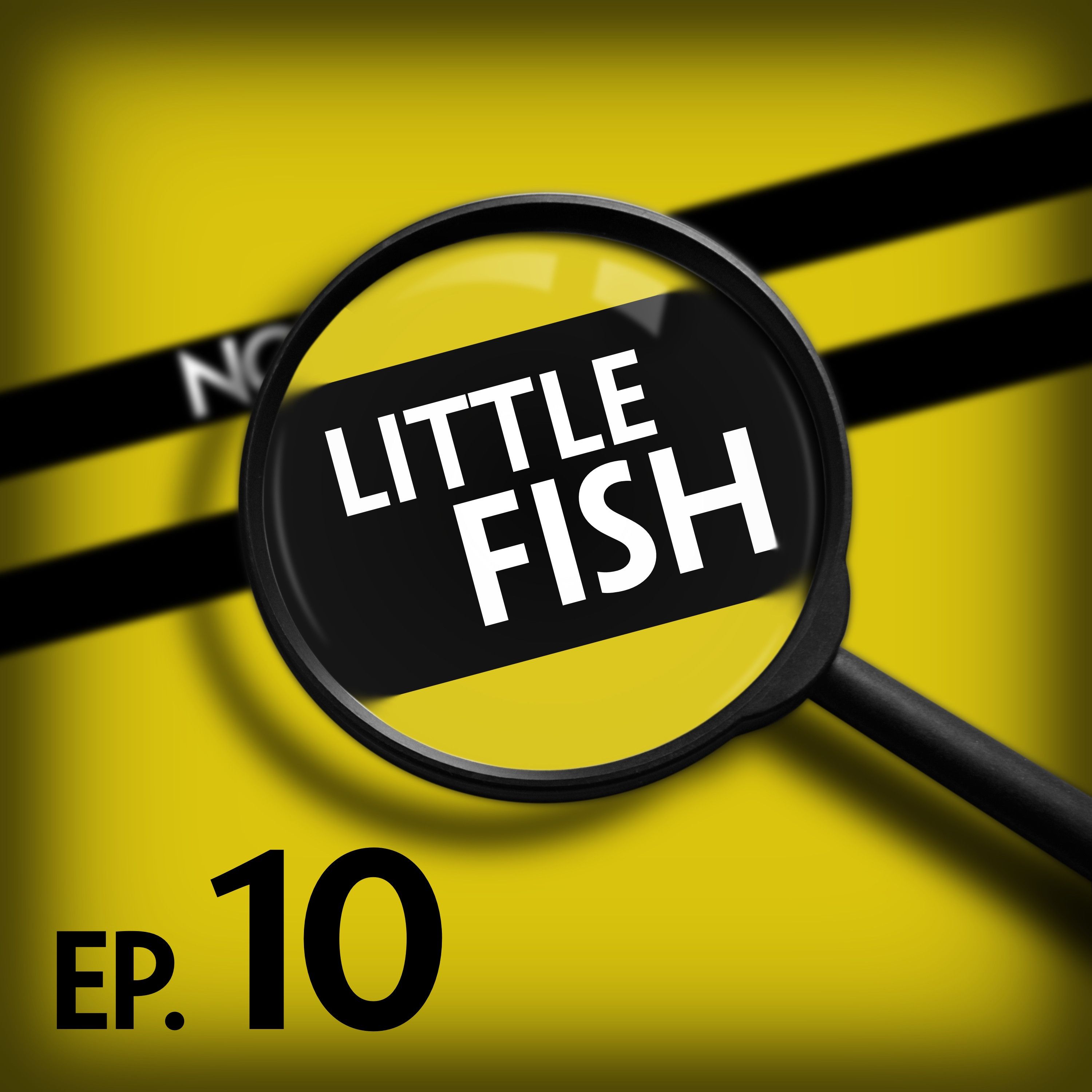 Little Fish: If You Believe What the Government Tells You