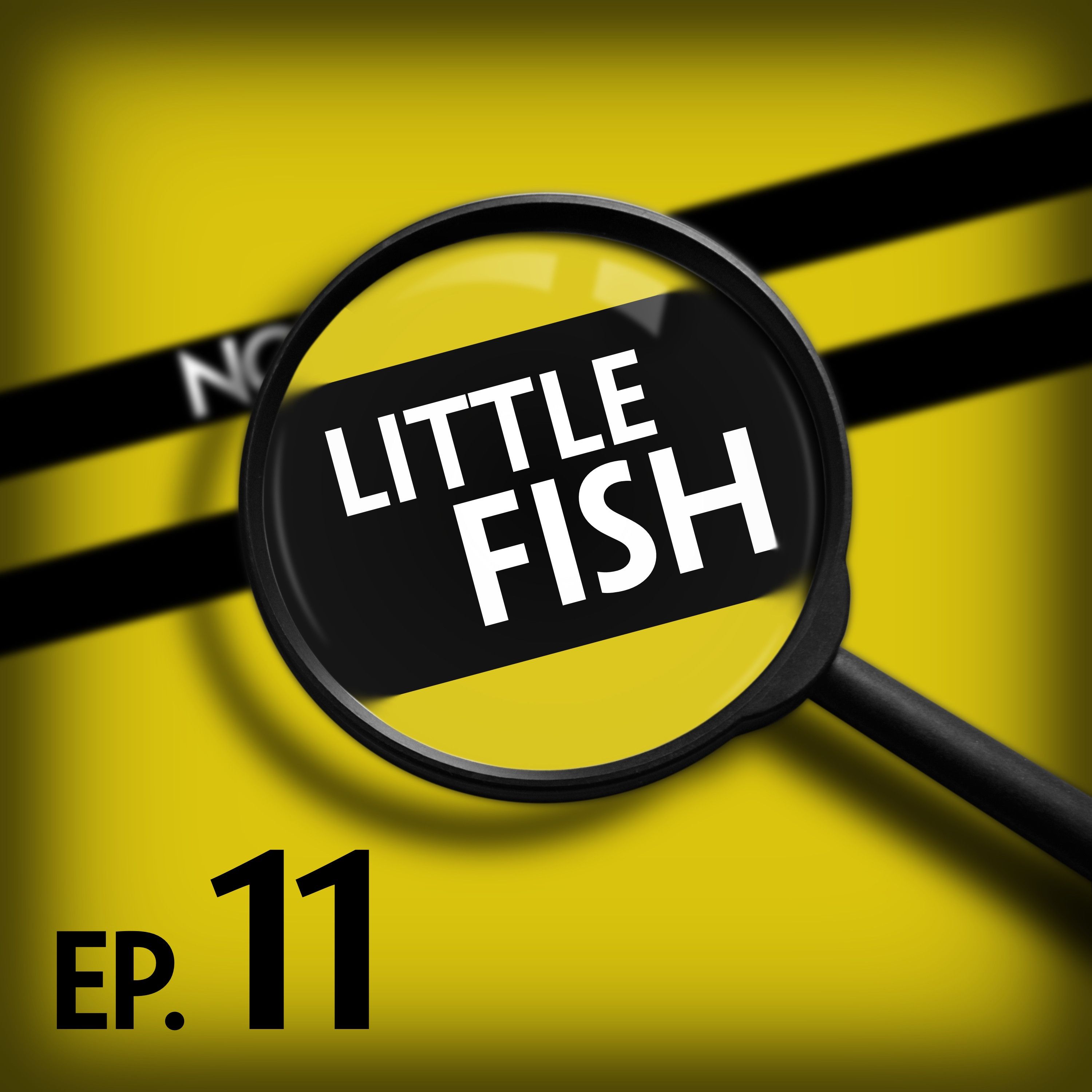 Little Fish: It's Mostly Machines These Days