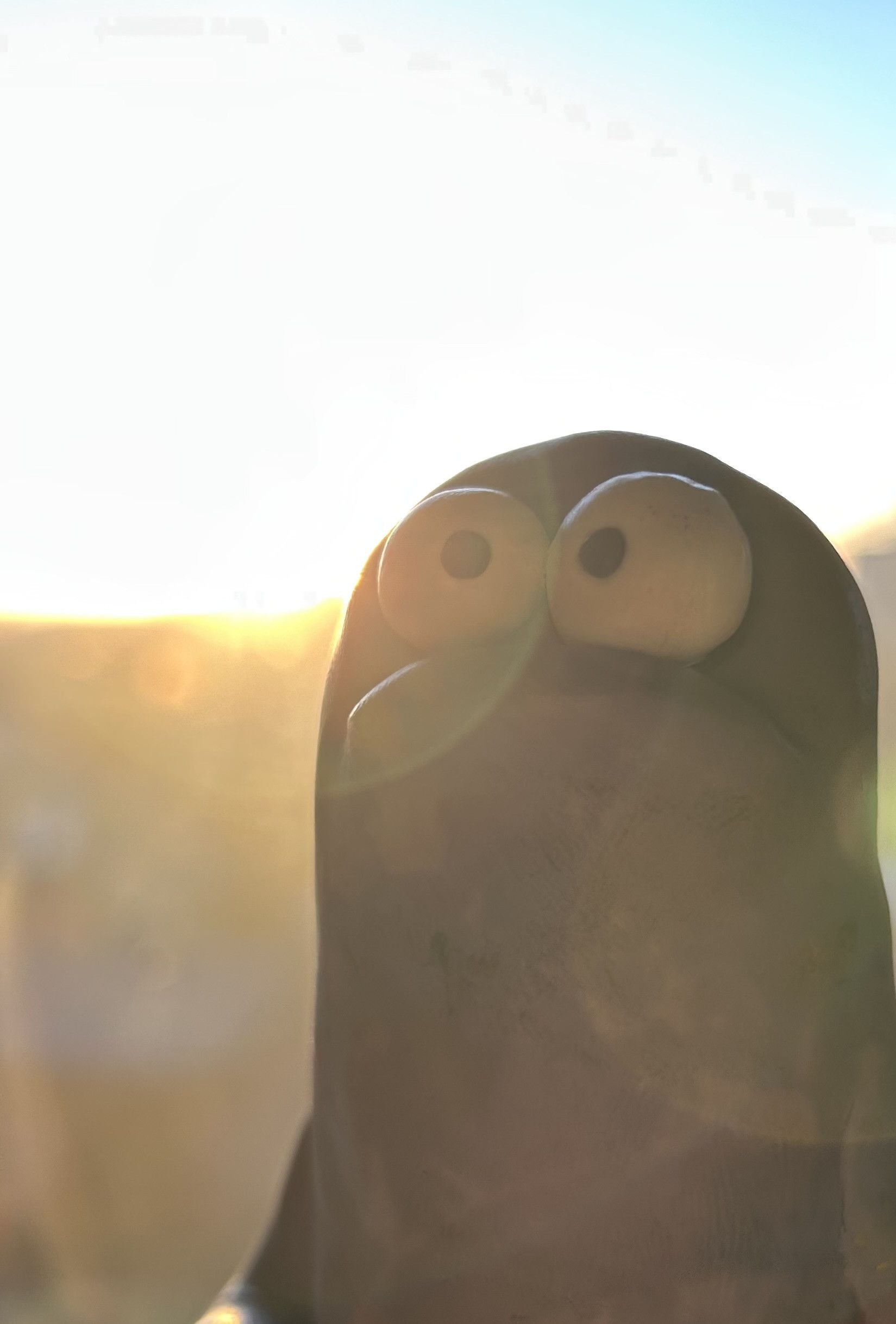 7: Overshadowed! So Disappointed Bonus Episode