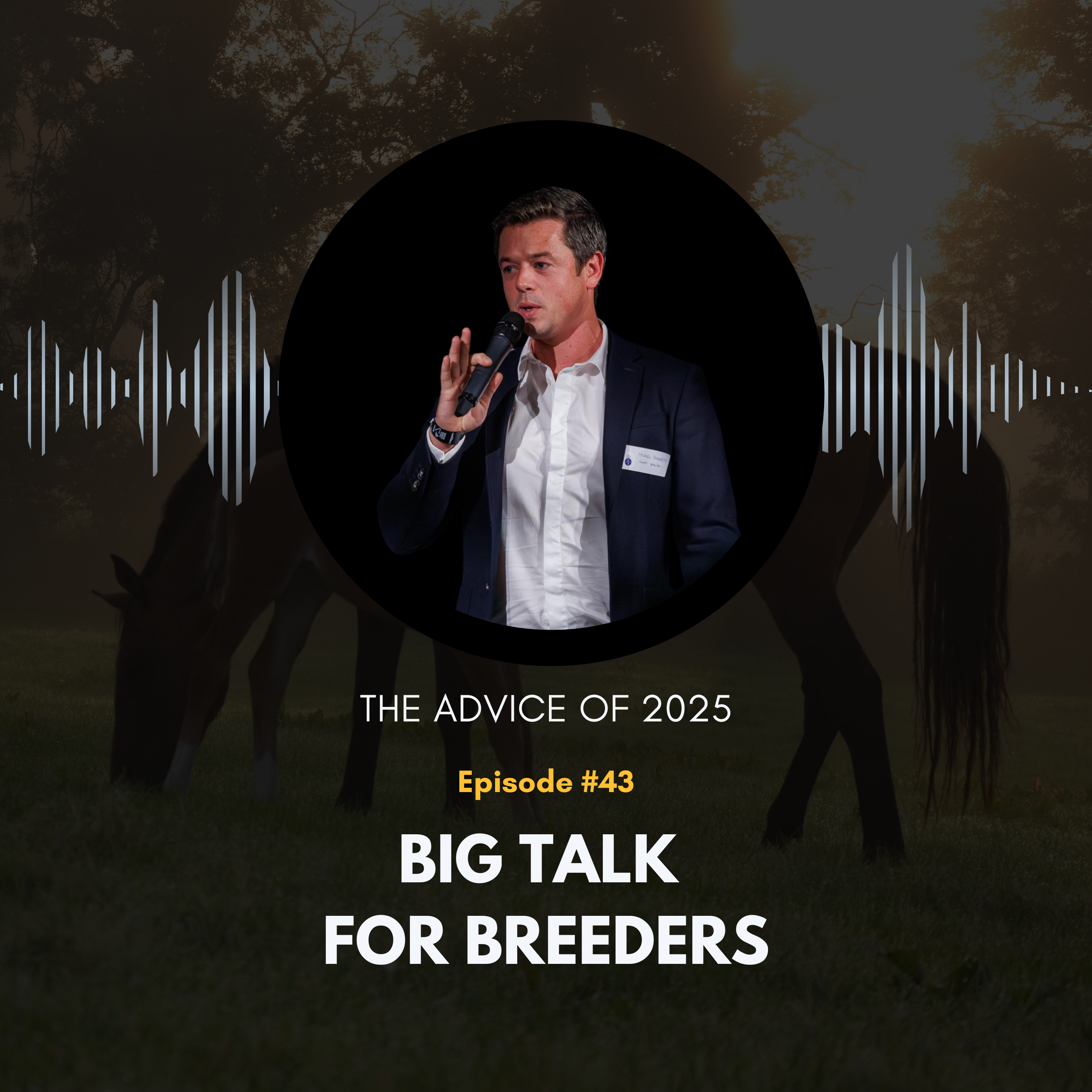 43: The Advice of 2025