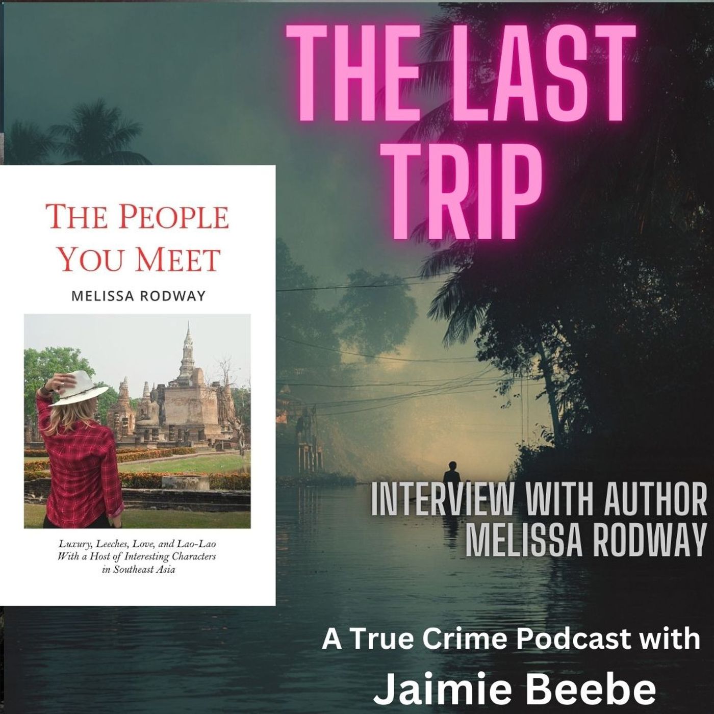 111: Interview: Melissa Rodway Author "The People You Meet"