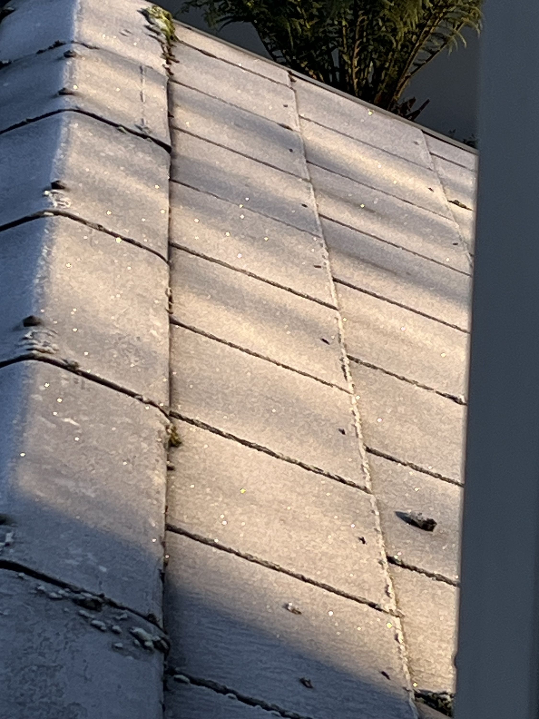 First light on Saturday morning- before ‘normal life’ resumes   #Audio365.    5/365 .  #JanPodPoMo