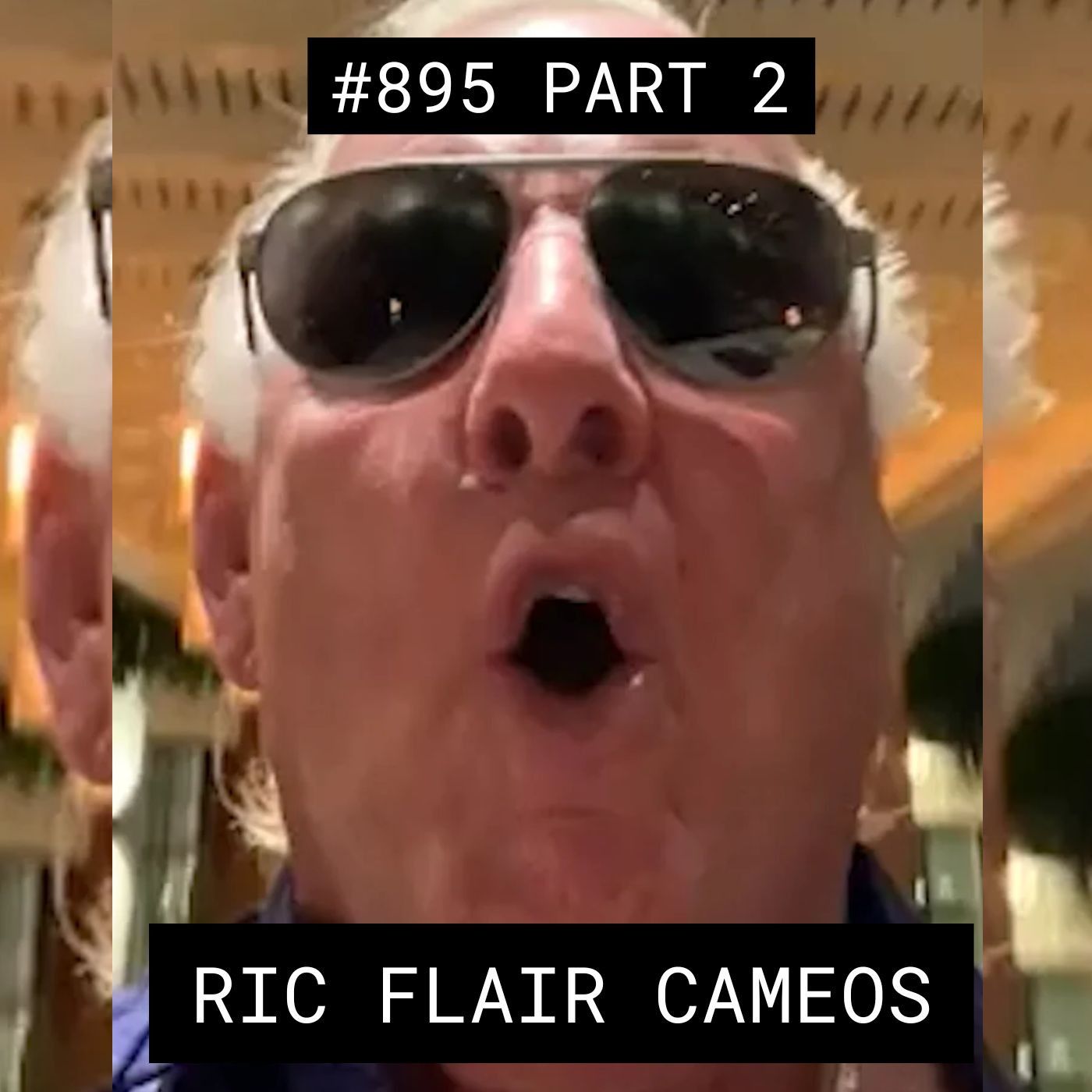 Ric Flair Cameos - #894 Part 2
