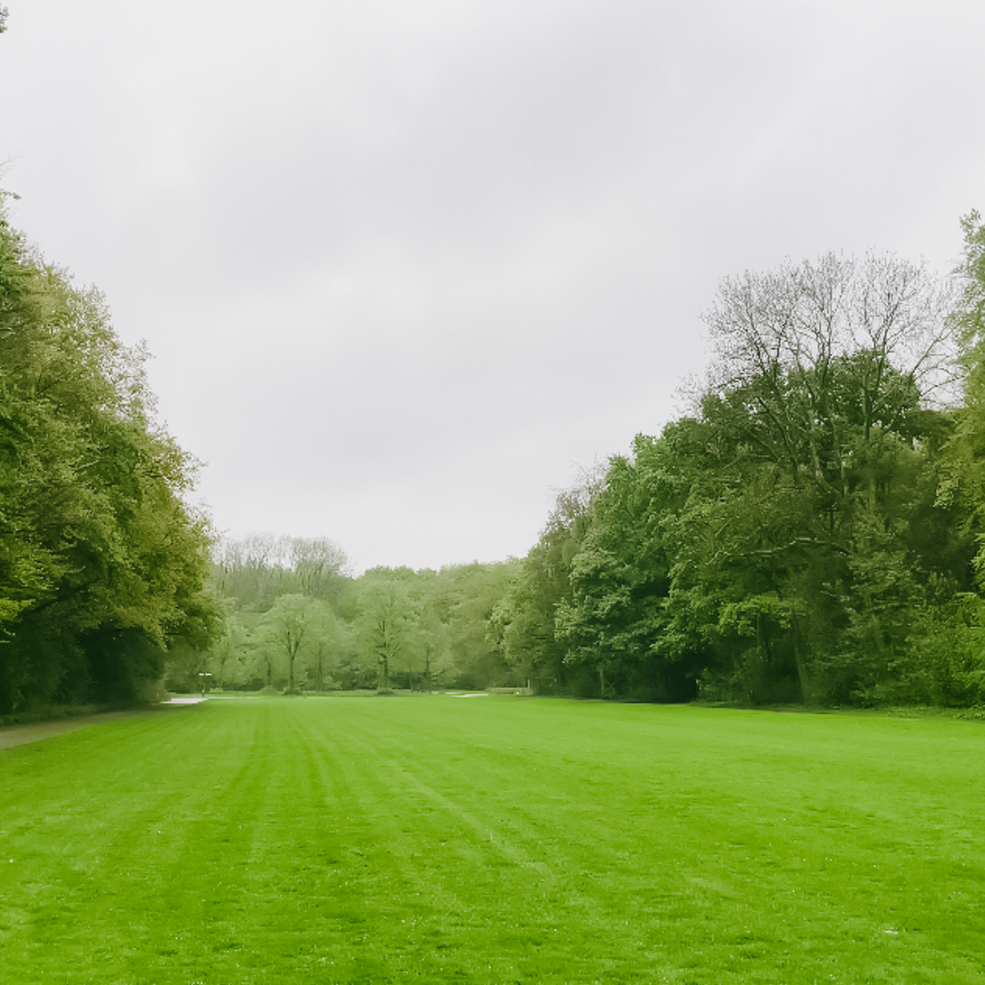 Amsterdamse Bos