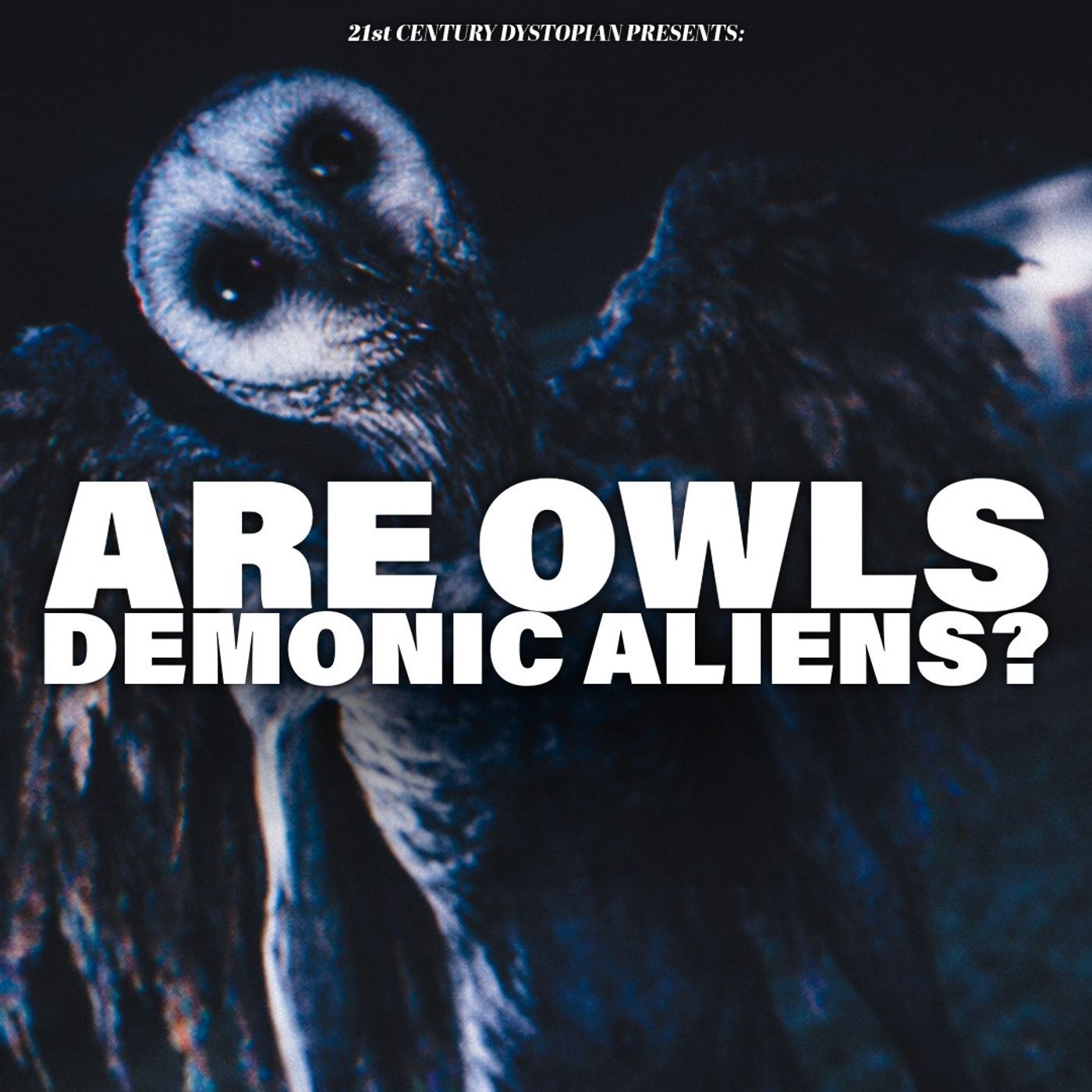 Owls and Demons: From the Bible to Alien Abductions