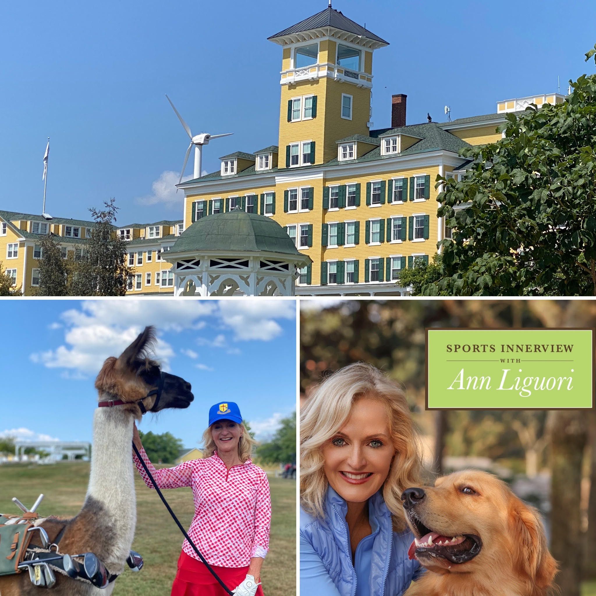 374: Sports Innerview - 1/9/2026 - Kalen Whitney, Lloyd Van Horn, Bernhard Langer episode artwork