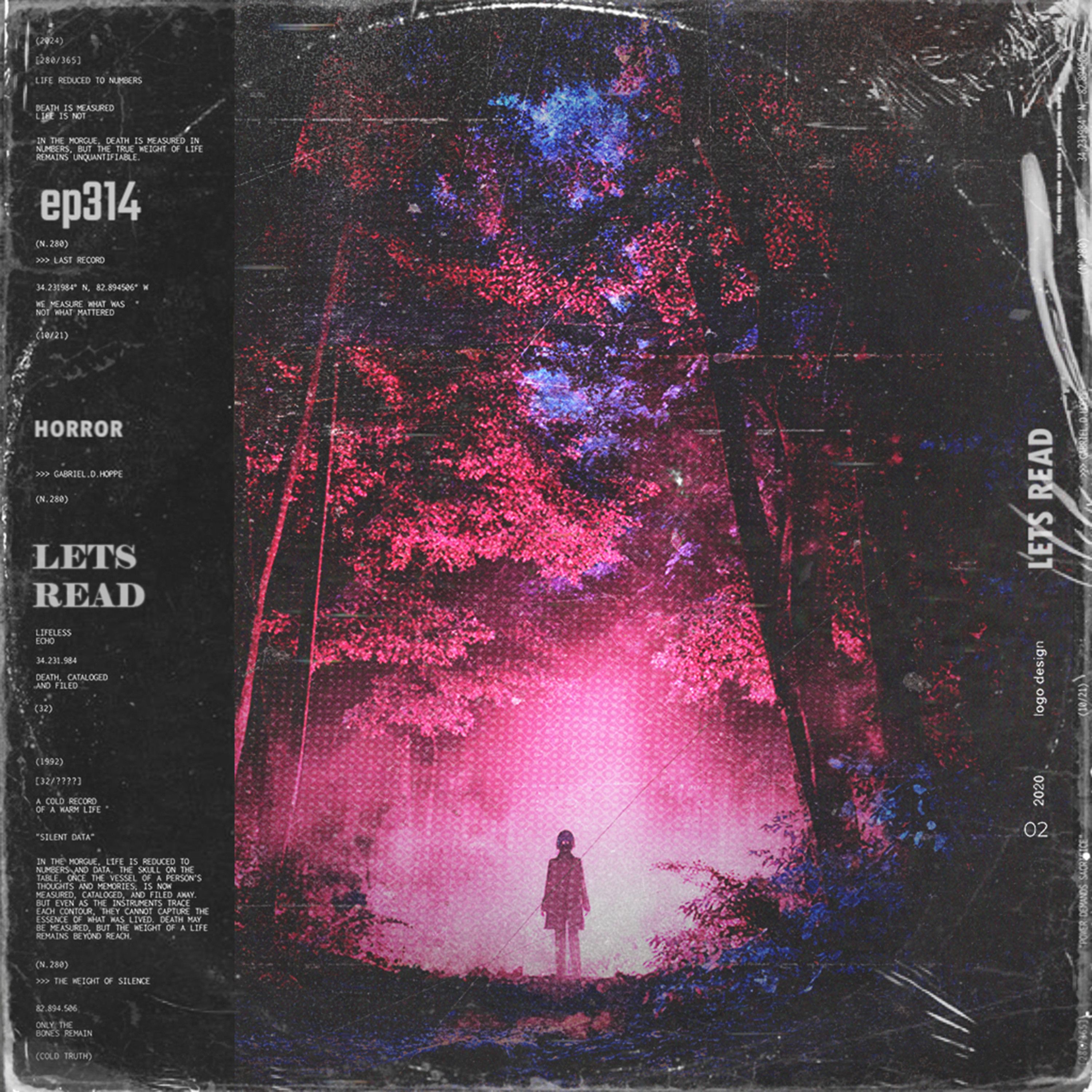 329: I WITNESSED A MURDER IN THE WOODS | 11 TERRIFYING True Scary Stories / Rain Ambience | EP 314