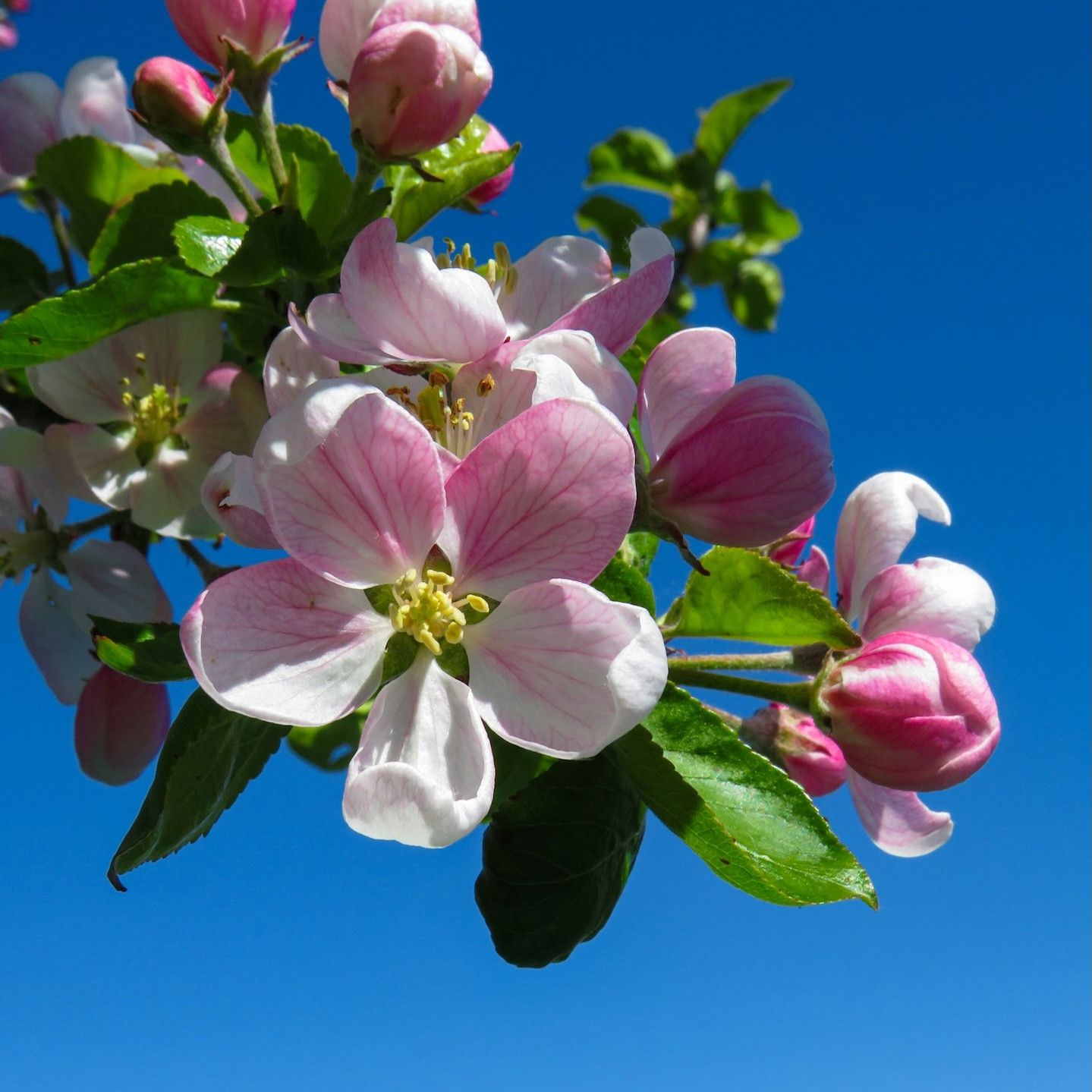 431: Your Life is Not About You