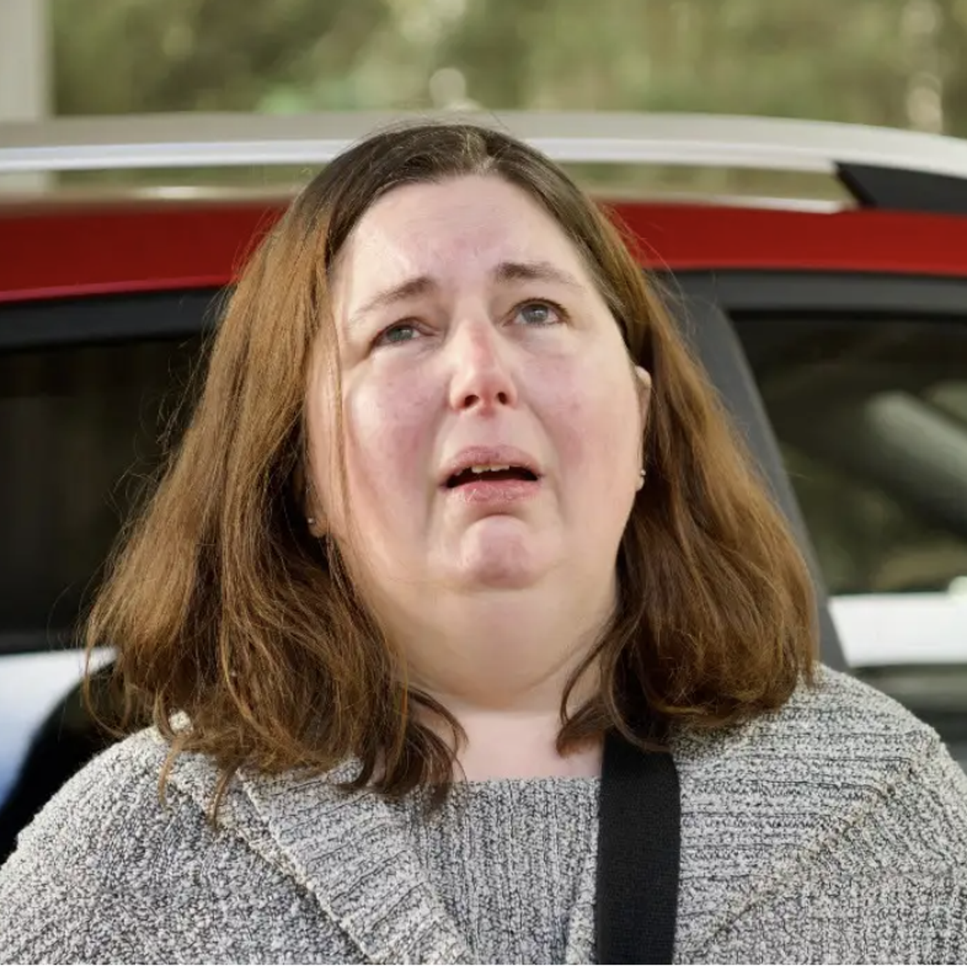 Erin Patterson Audio - Part 1: The Phone Call and Police Interview