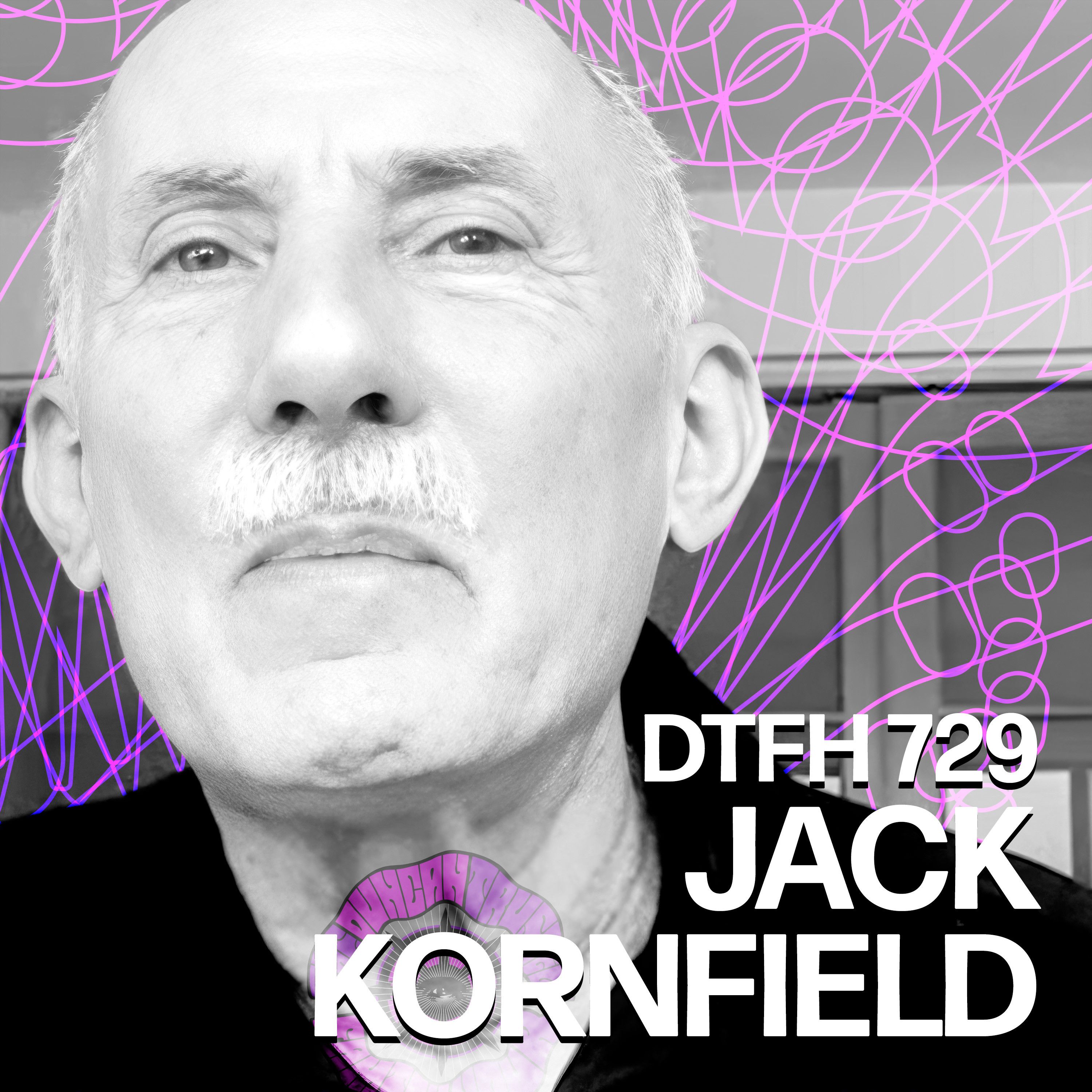 733: Jack Kornfield