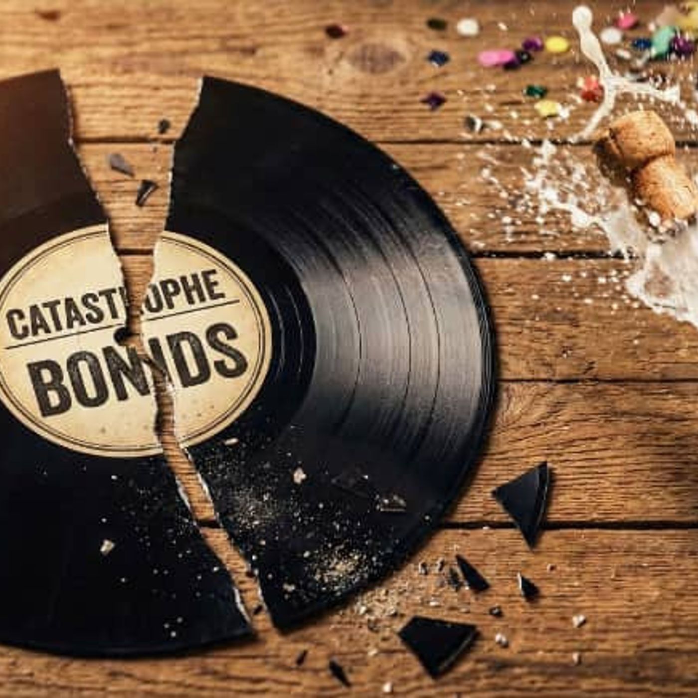 204: The catastrophe bond market records broken in 2025
