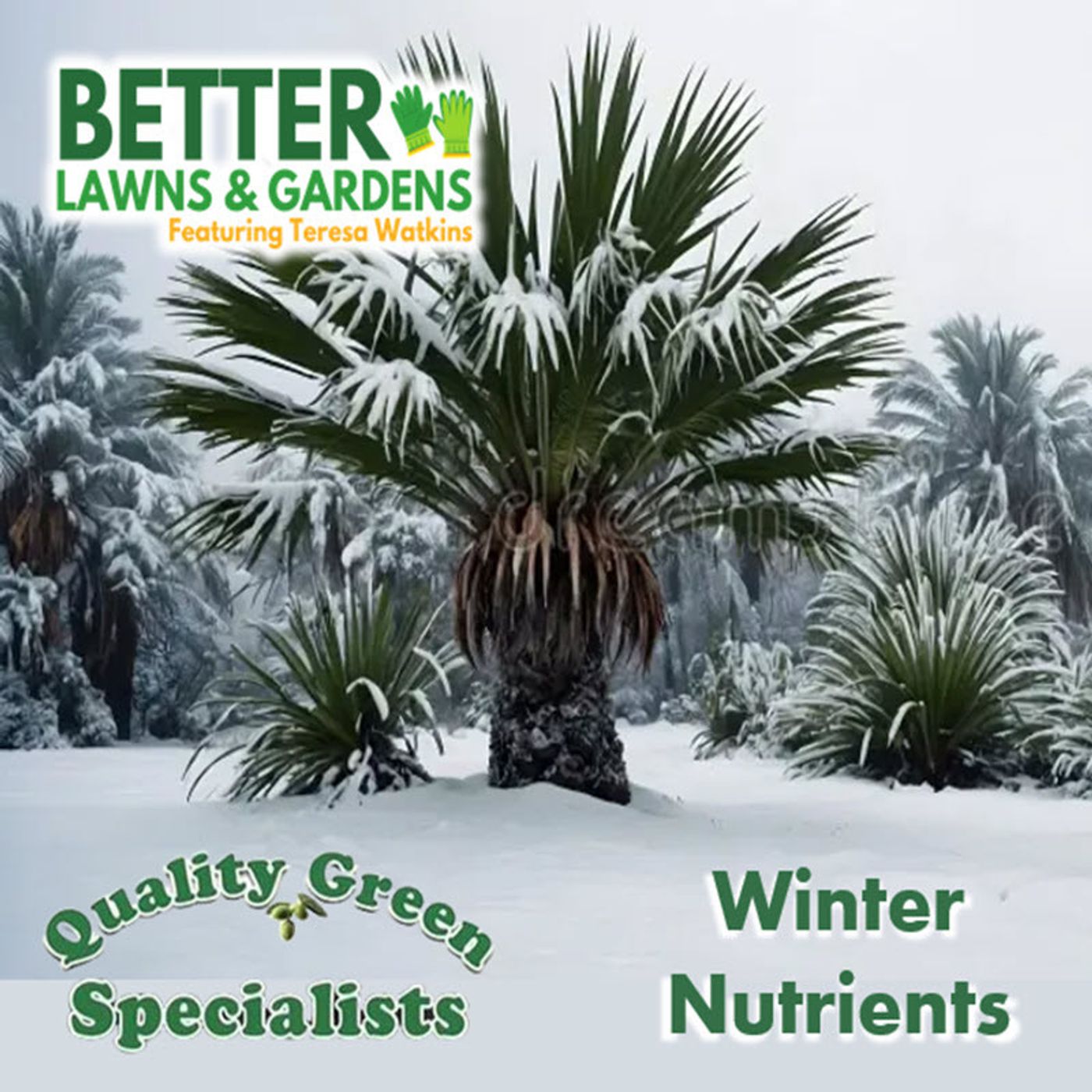 S2 Ep419: Better Lawns and Gardens - Hour 1 Winter Nutrients Jan 17 2026