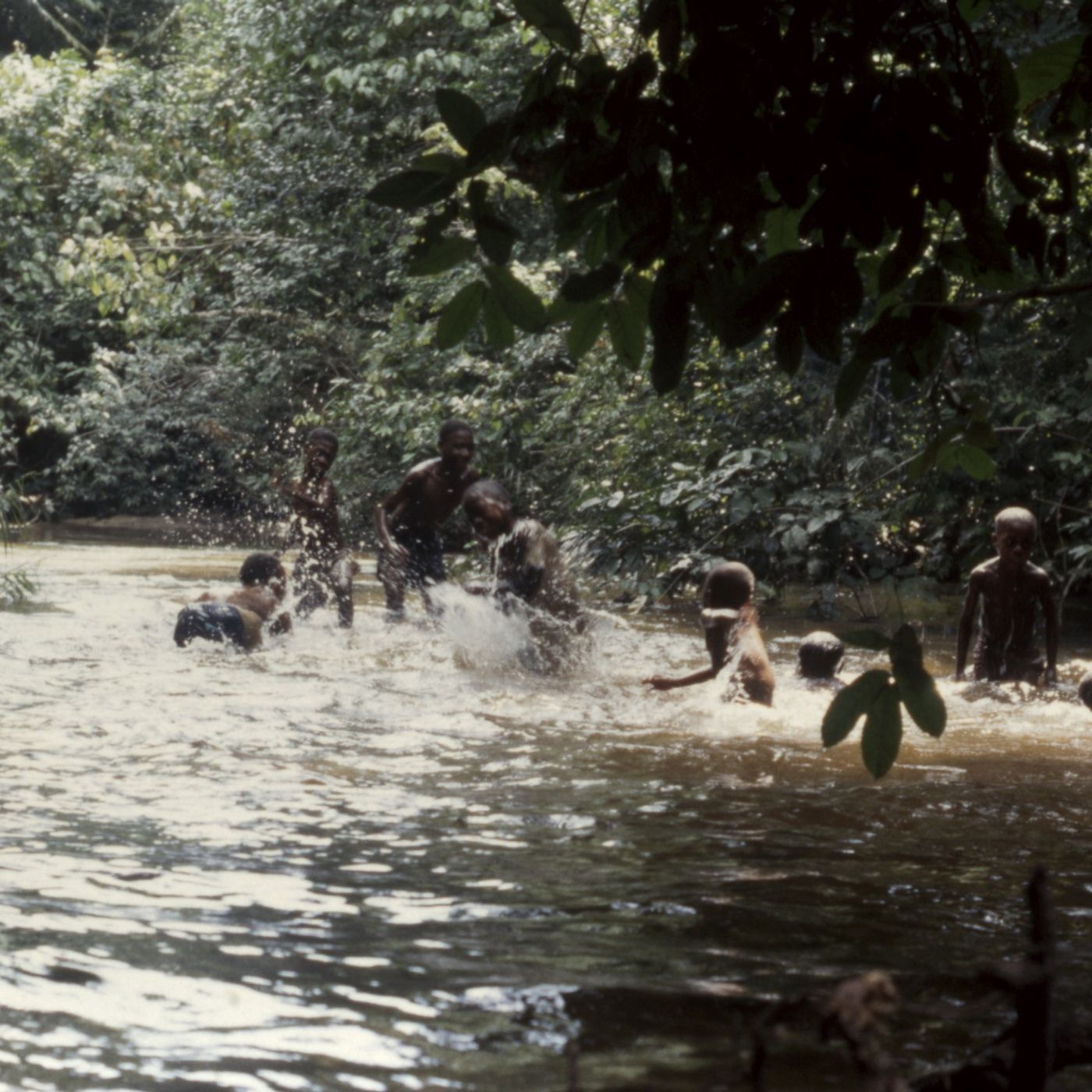 Submersion study (the water remembers)