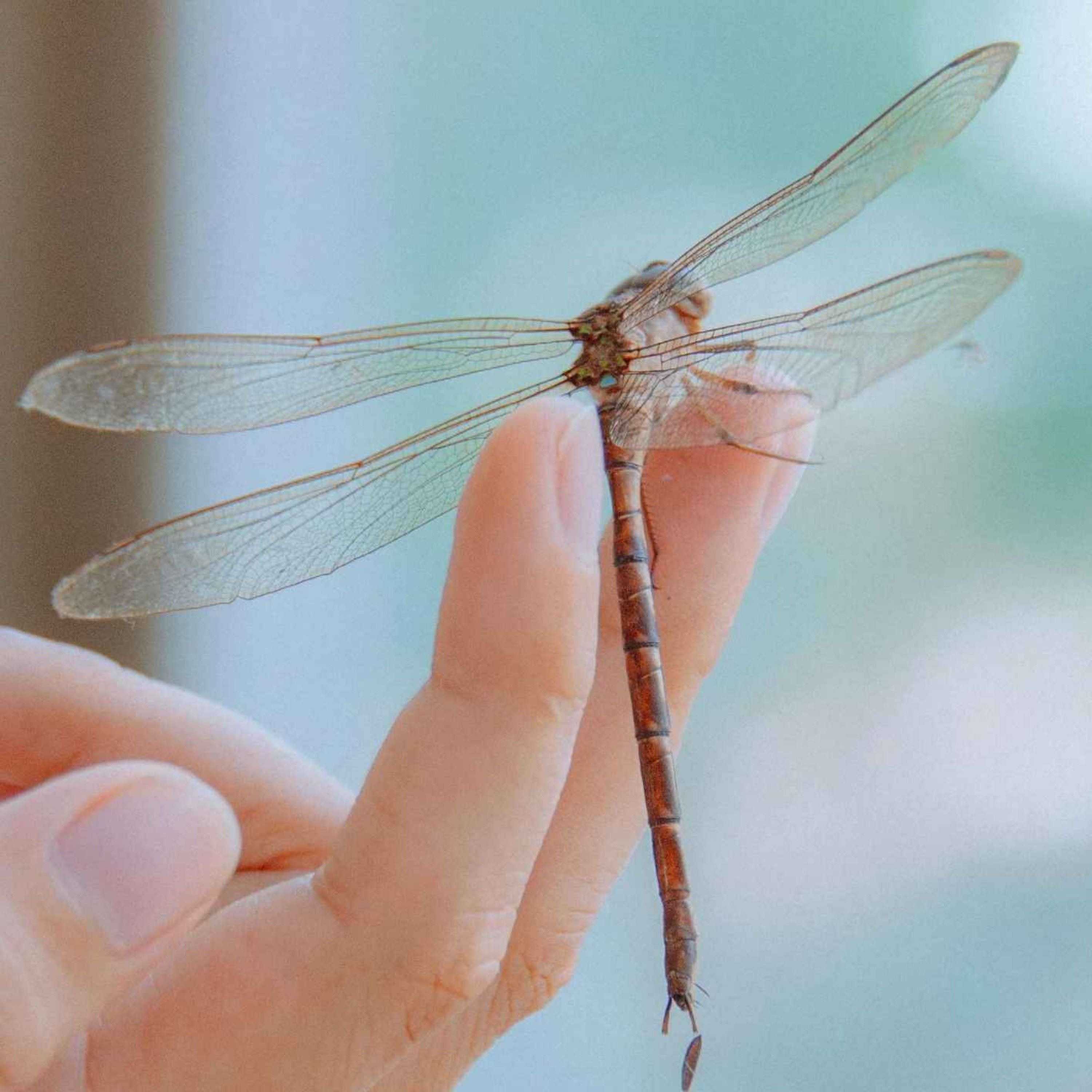 Cassie Shares The Signs She Received From The Other Side At Her Mom’s Funeral