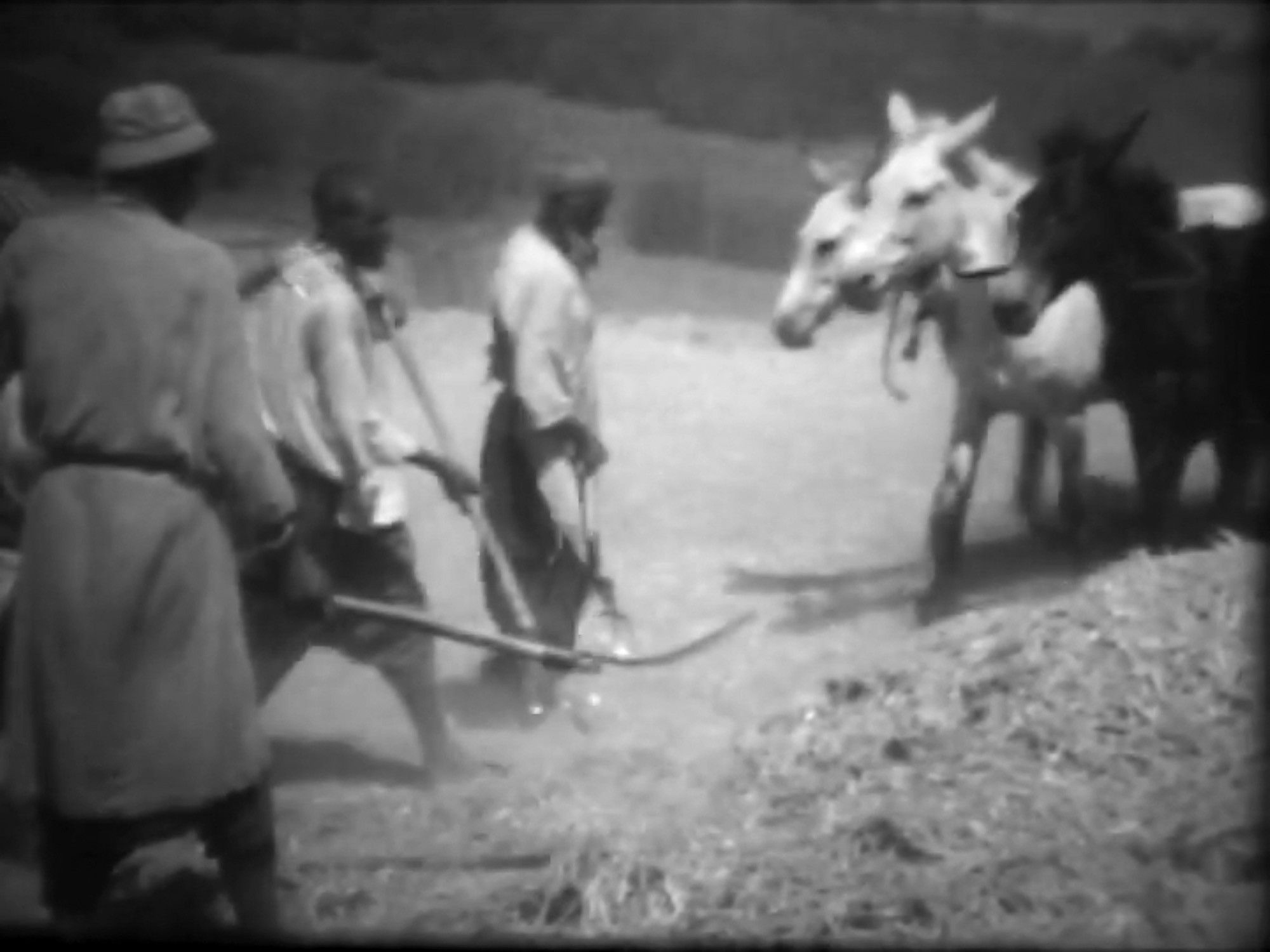 Ait Haddidu threshing song