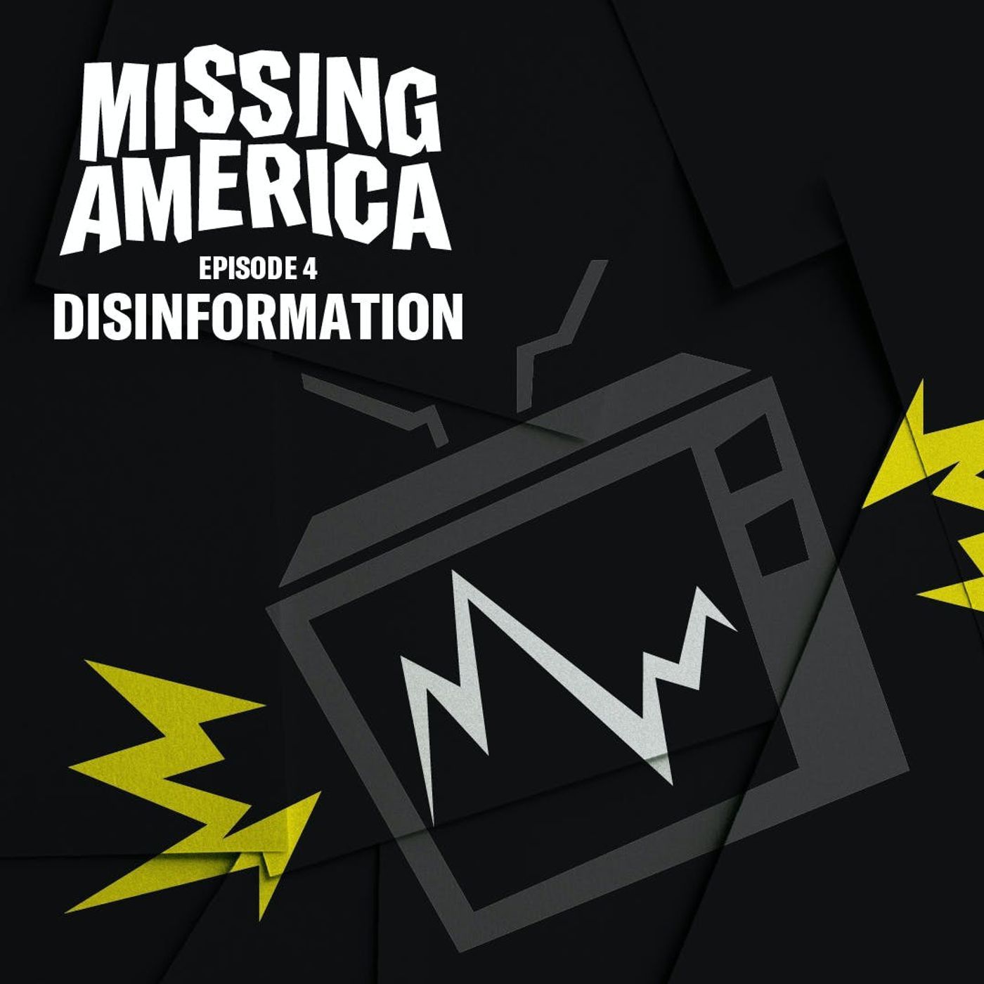 4. Disinformation