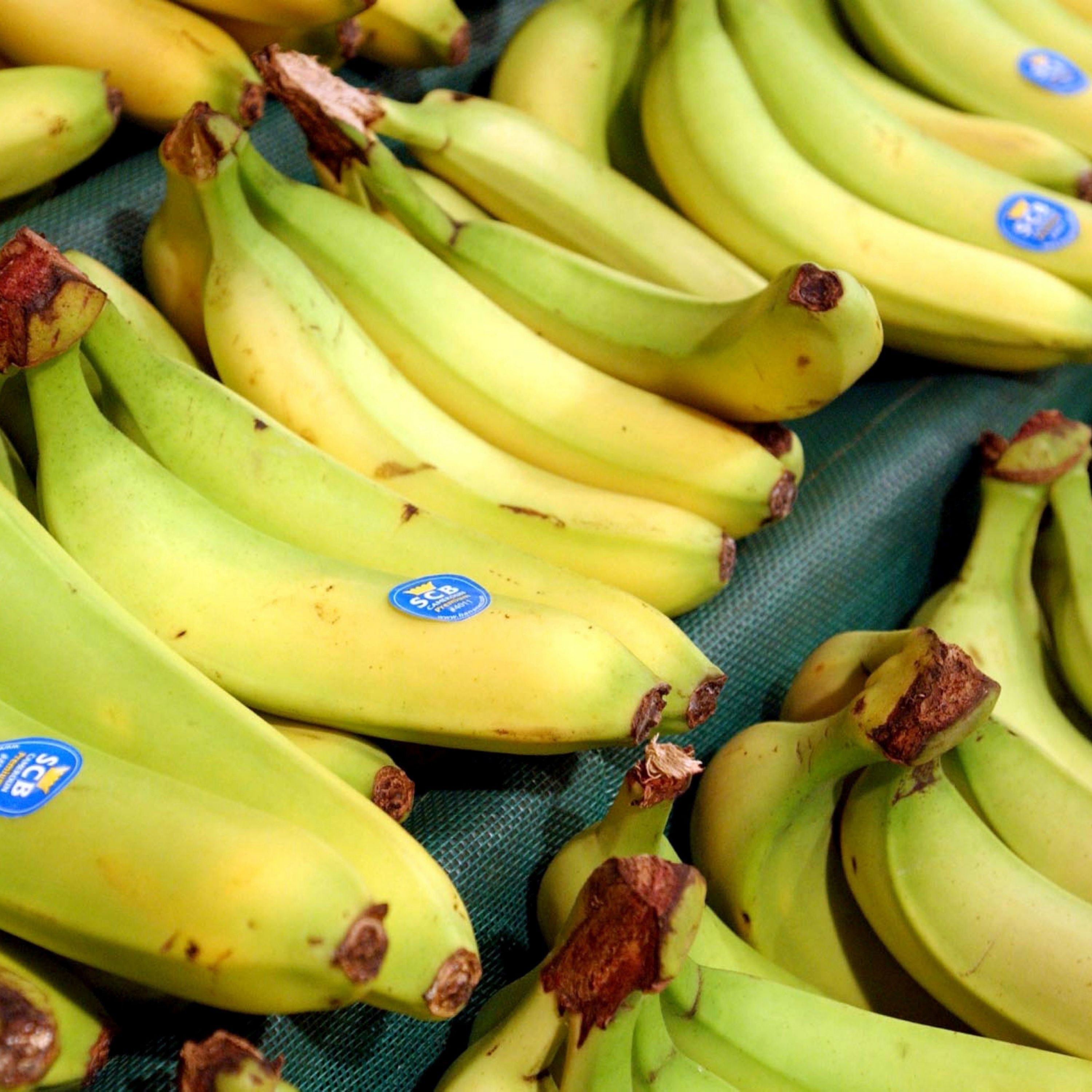 If Tariffs Are So Great, Why Are There So Many Exemptions?