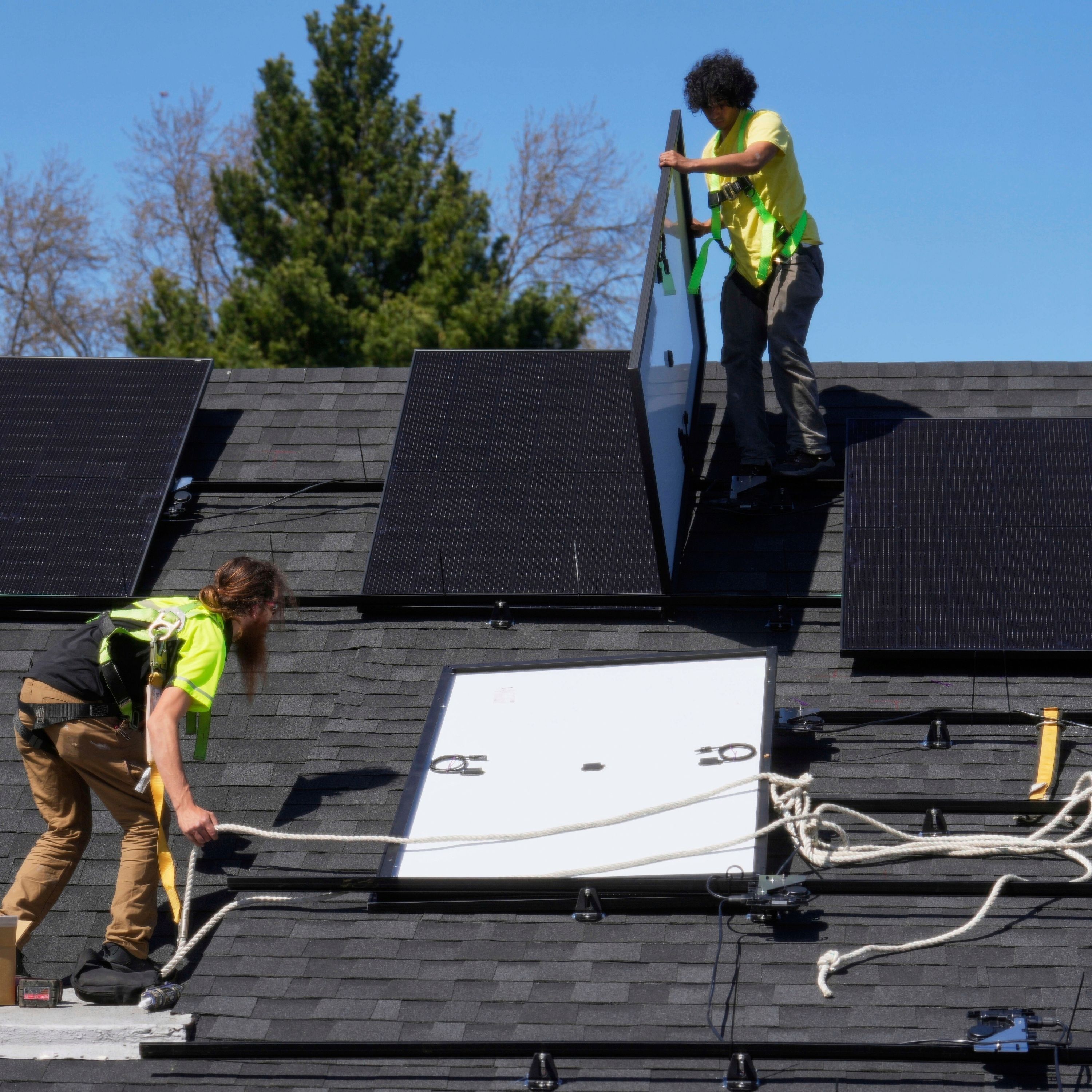 We're Not Powerless Against Trump's Climate Sabotage