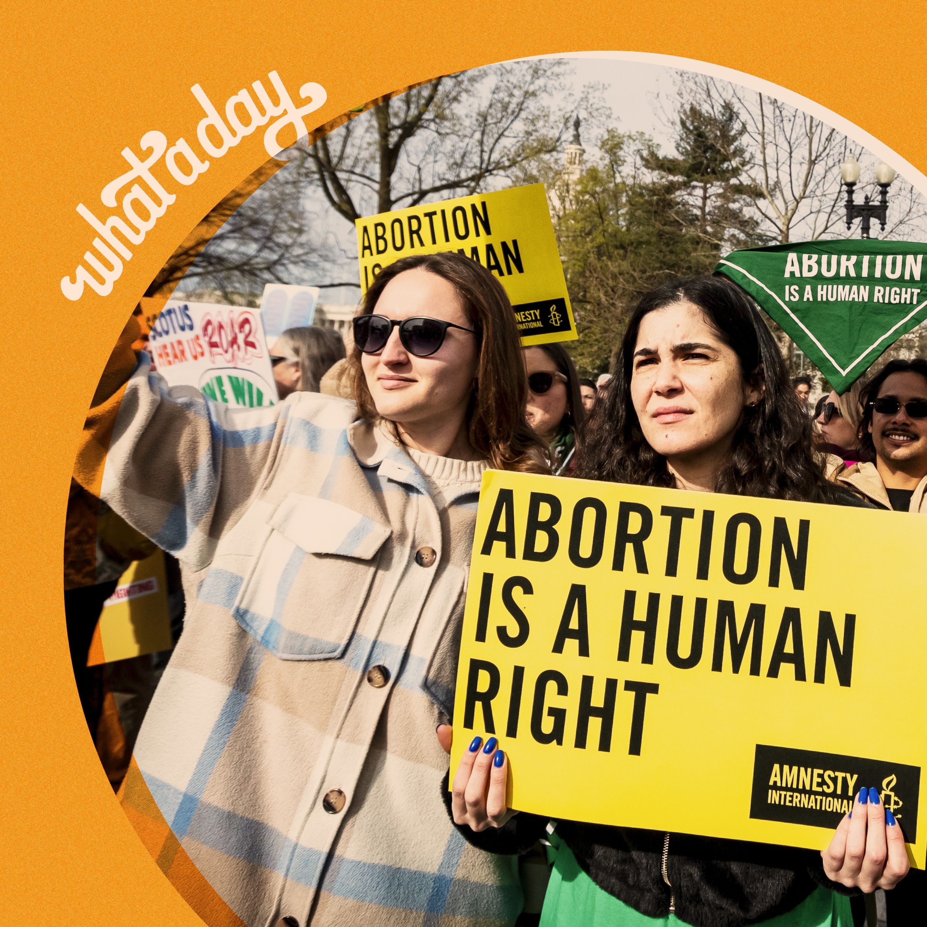 Supreme Court Side-Eyes Anti-Abortion Doctors episode artwork