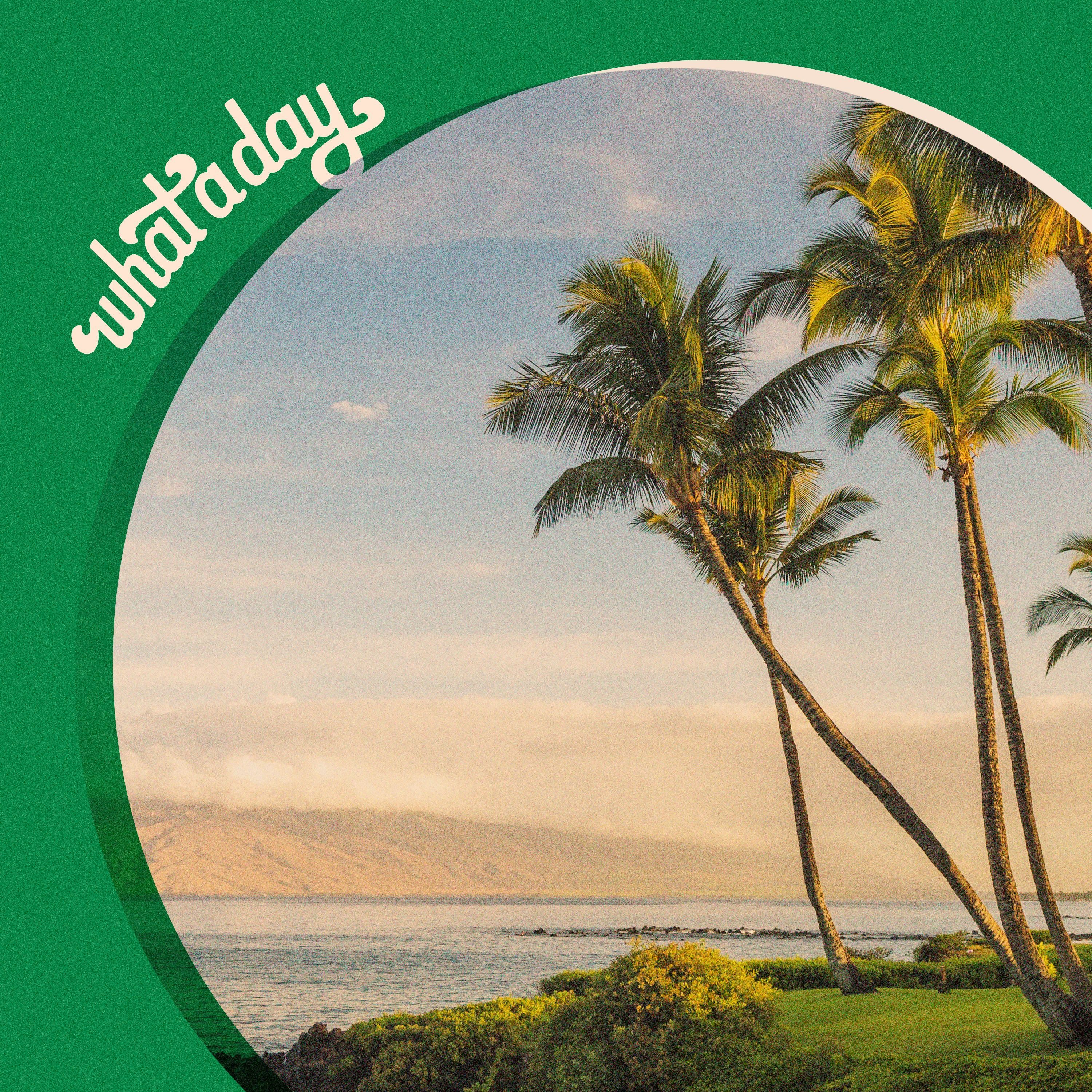 The Tension Over Tourism In Hawai'i episode artwork