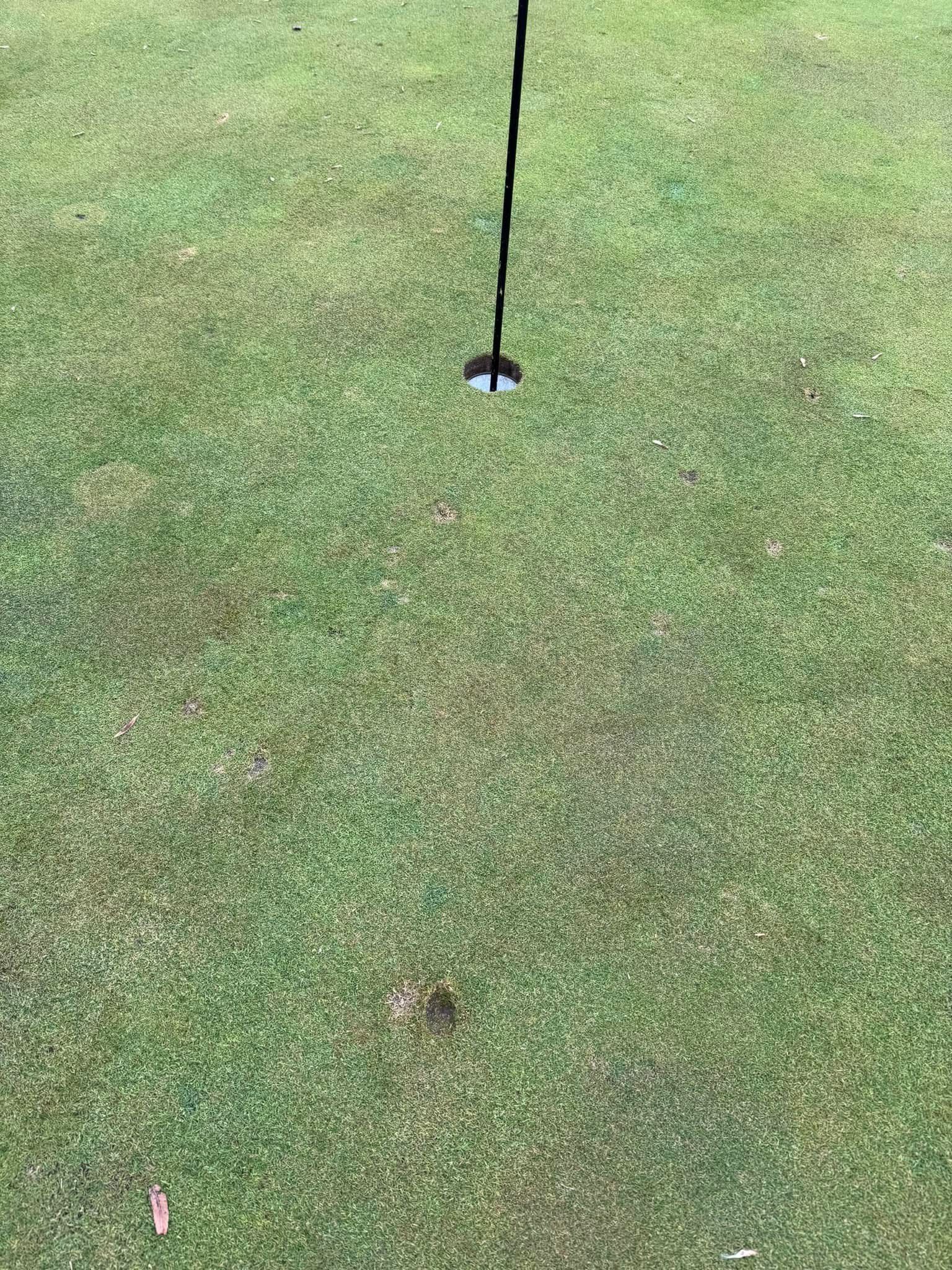 S2 Ep7: Short Story Wednesday -- A Hole-in-One From Heaven -- Jesse DeBock