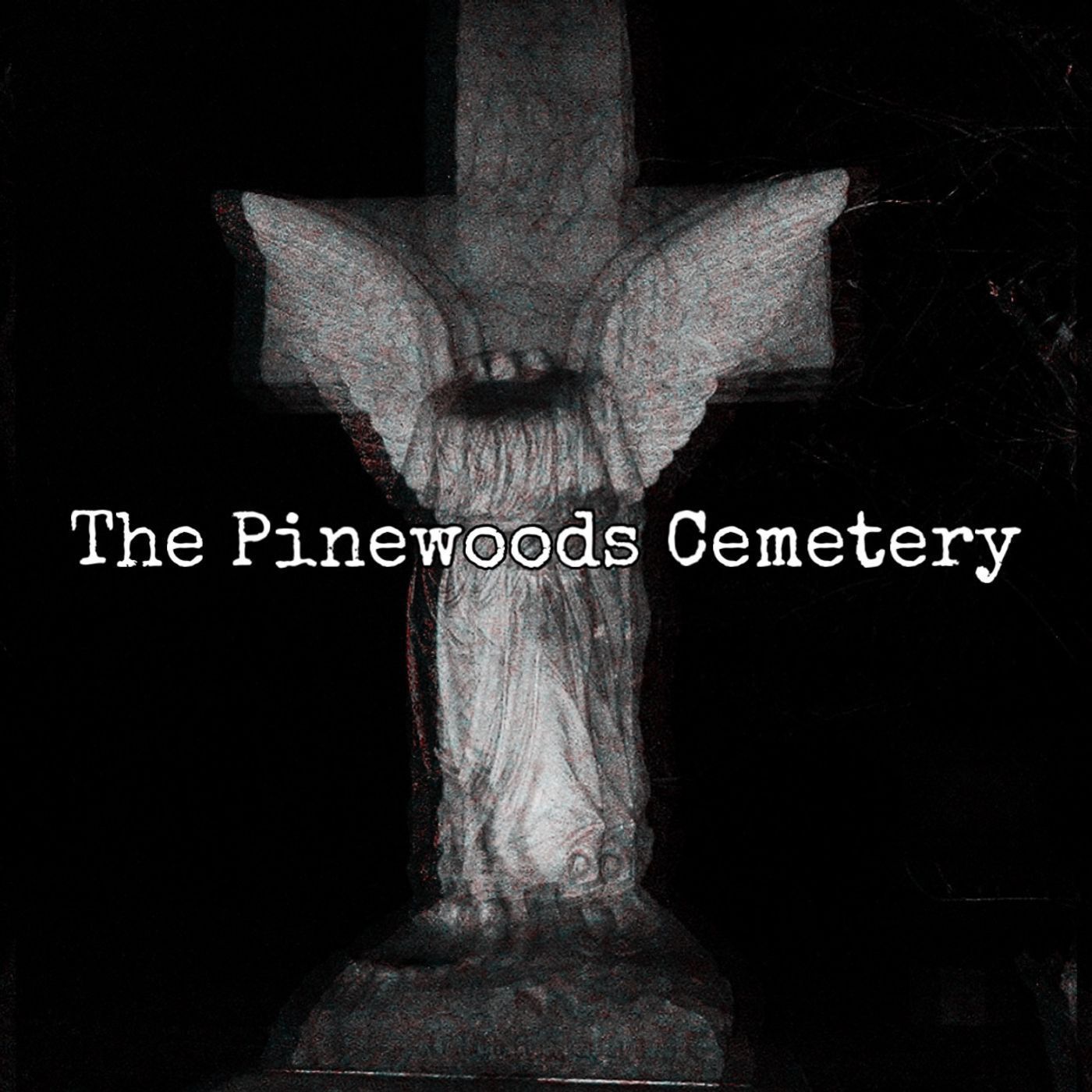 Episode 120: The Pinewoods Cemetery ft Believing the Bizarre Podcast