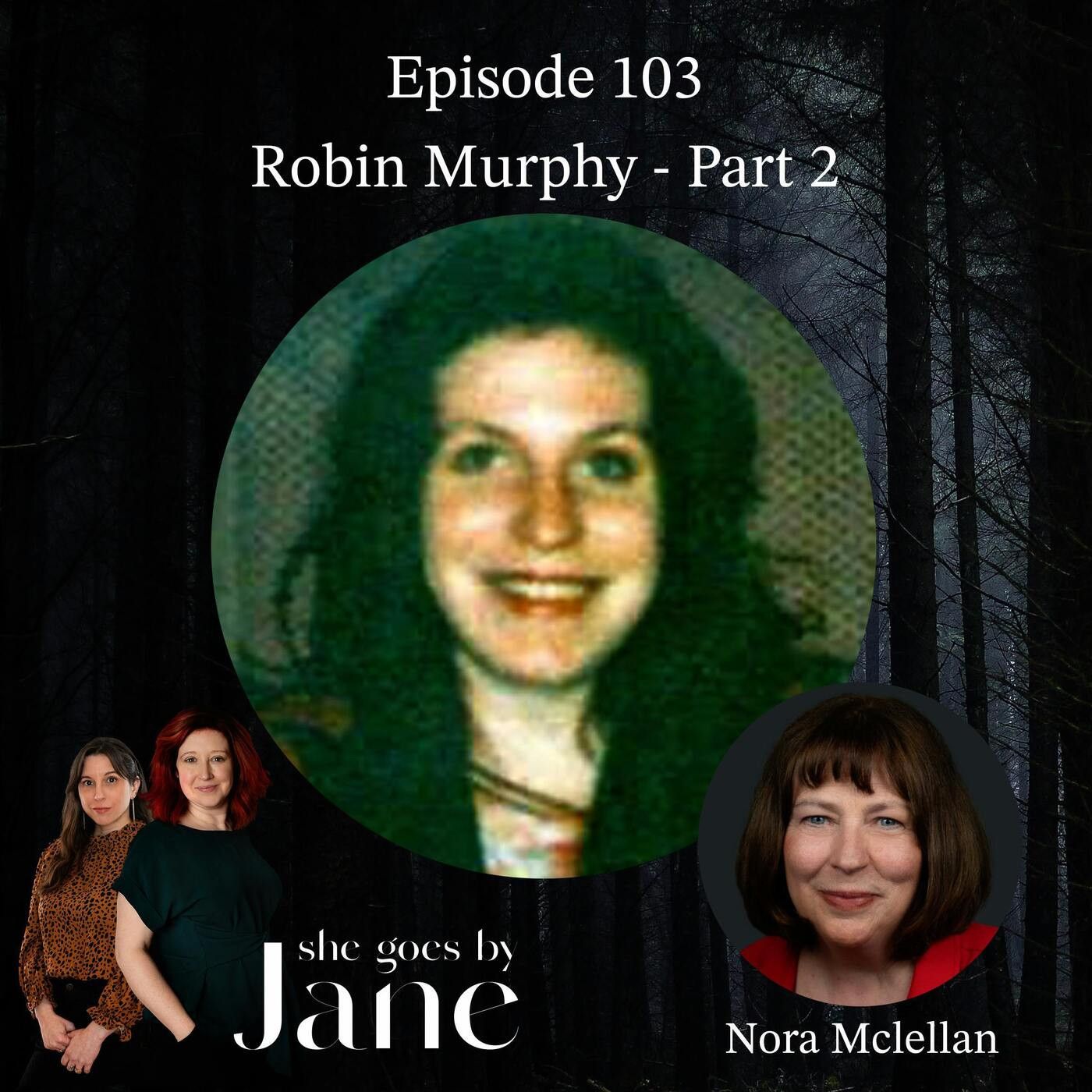 Unsolved: The 1995 Disappearance of Robin Murphy | Part 2 with guest reader Nora McLellan
