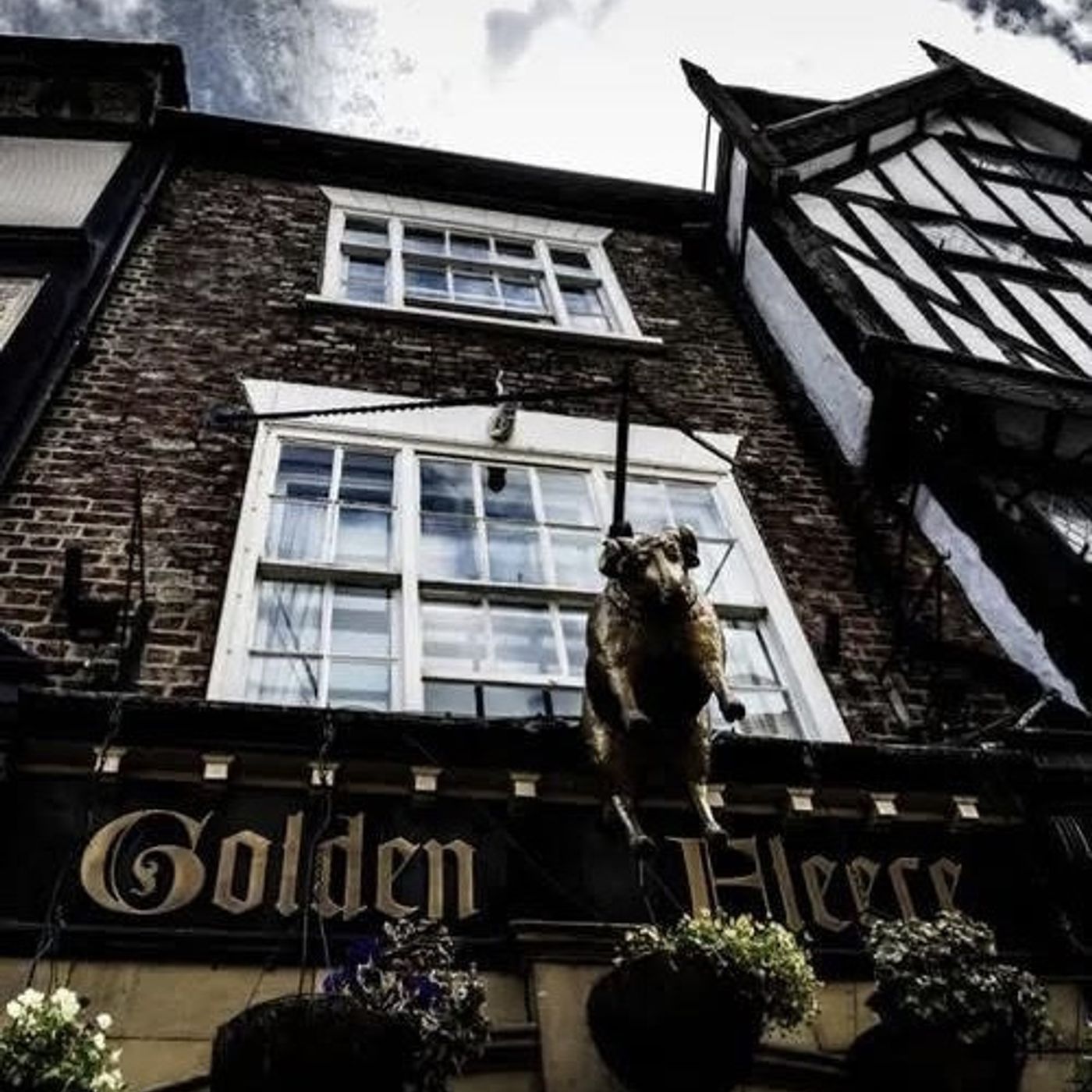 Middle Aged Mini #240 - The Golden Fleece Pub