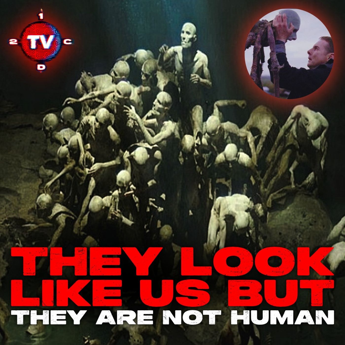 Human-like Nonhumans in the Forest / NPCs in the National Parks