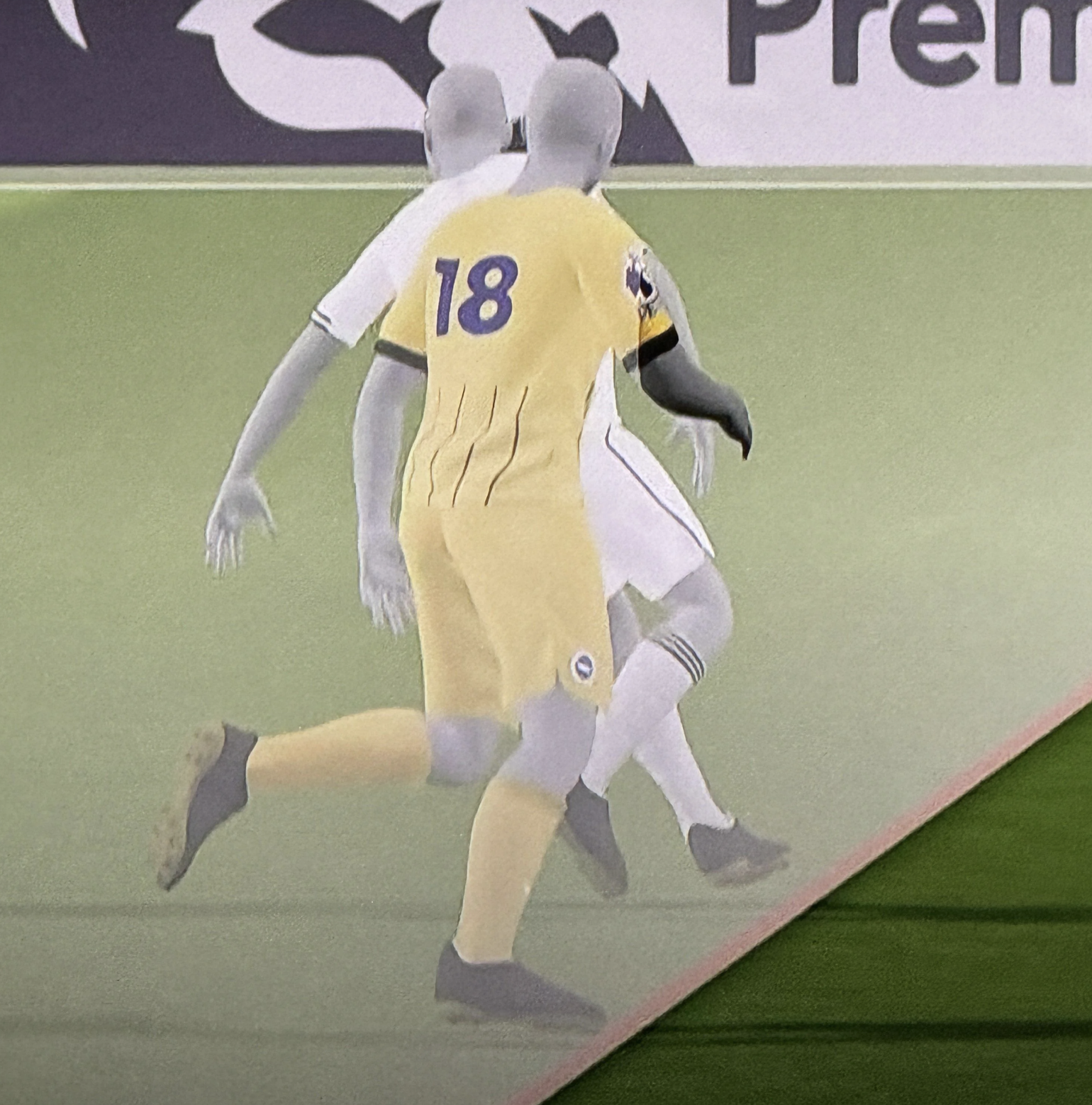 The Albion Roar - 28th January 2026 with guest Brian Owen episode artwork