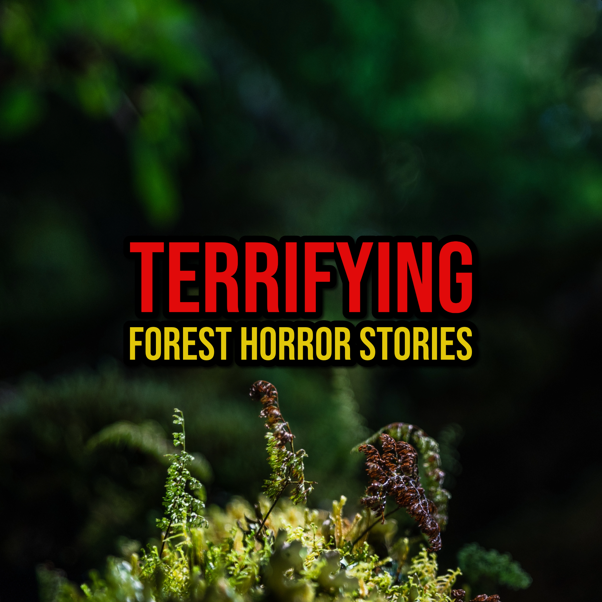 Episode 312: Terrifying Forest Horror Stories