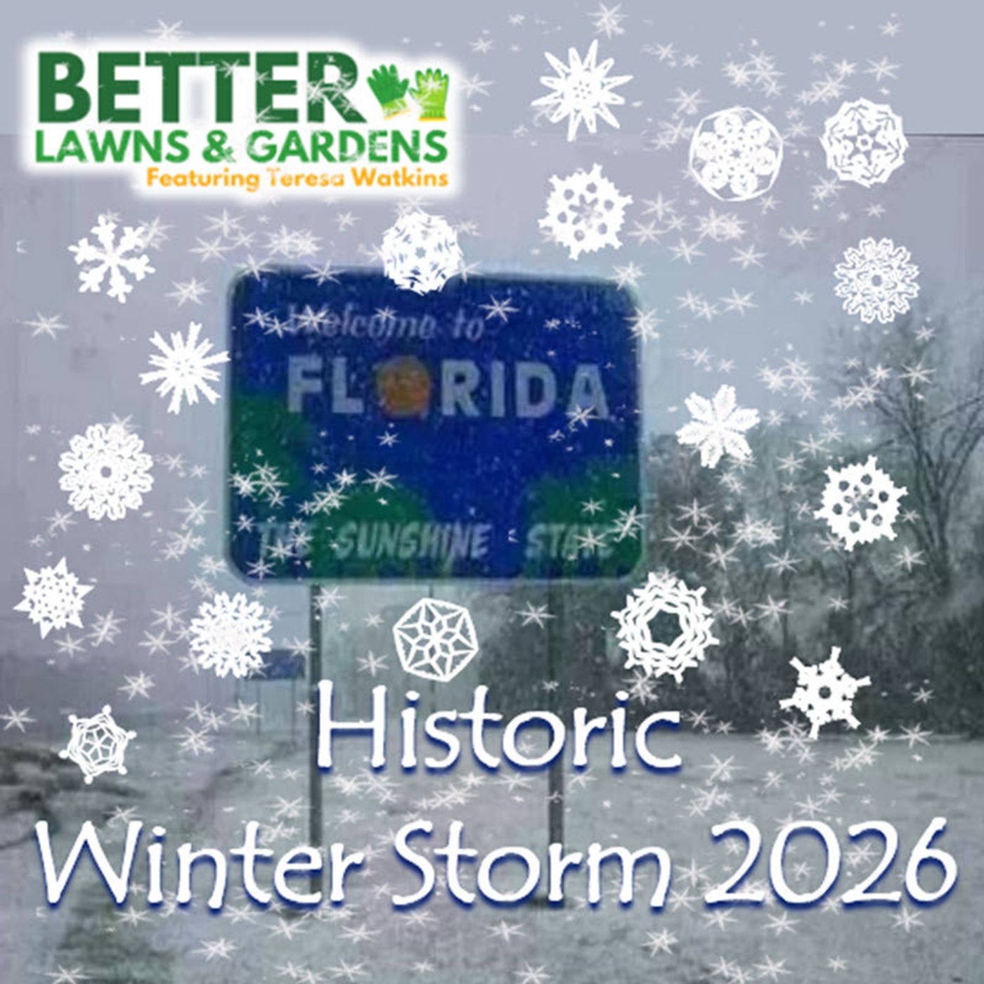 S2 Ep423: Better Lawns and Gardens - Hour 1 Historic Winter Storm January 31 2026