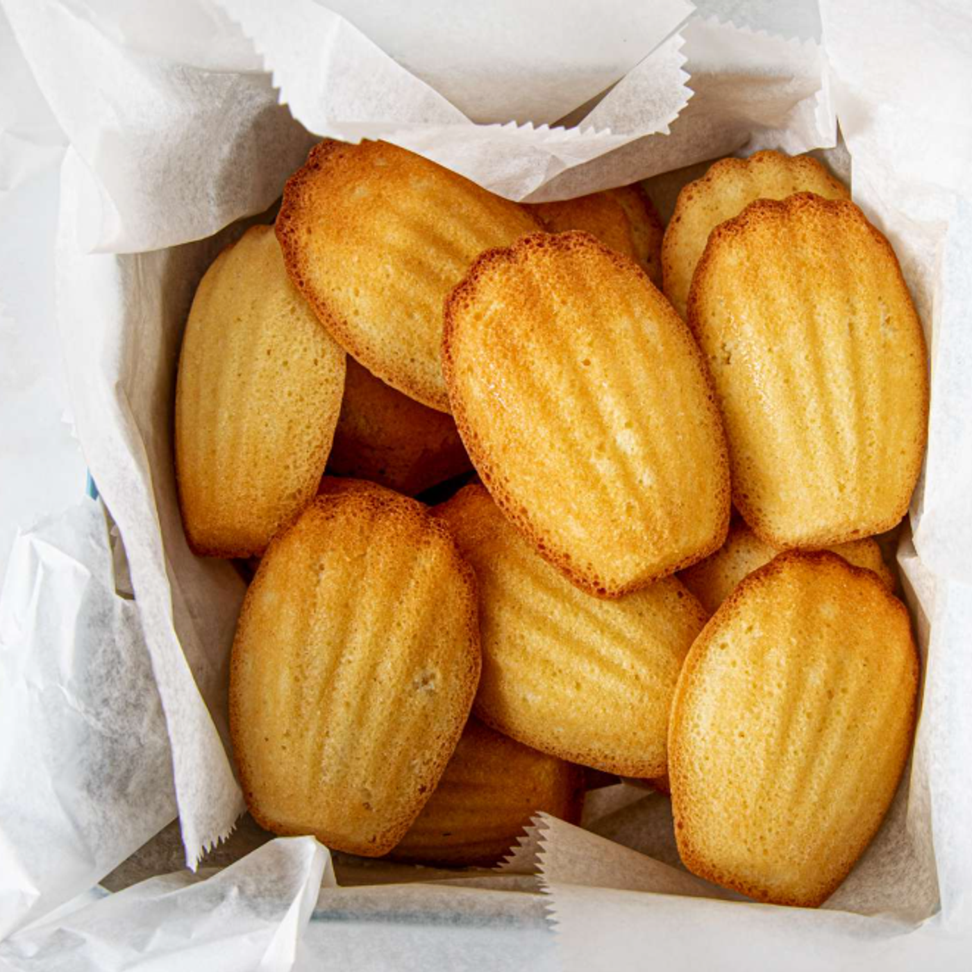 Praising Proust on Dunking a Cake in his Tea -  #Audio365  28/365 da