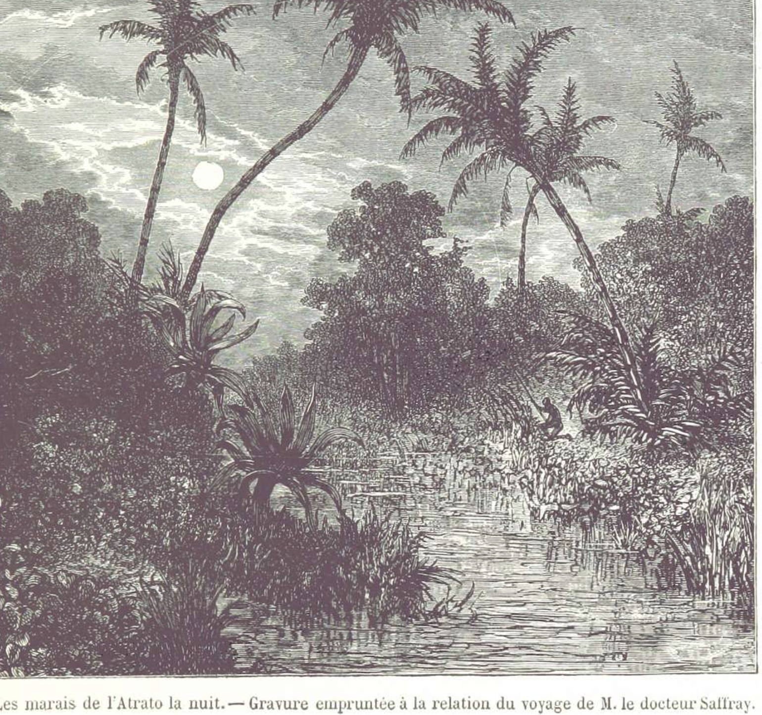 S8 Ep421: Mary Anastasia O'Grady of the Wall Street Journal discusses the Panama Supreme Court's ruling removing Chinese port contracts, correcting misconceptions about Chinese military control or ownership of the canal.