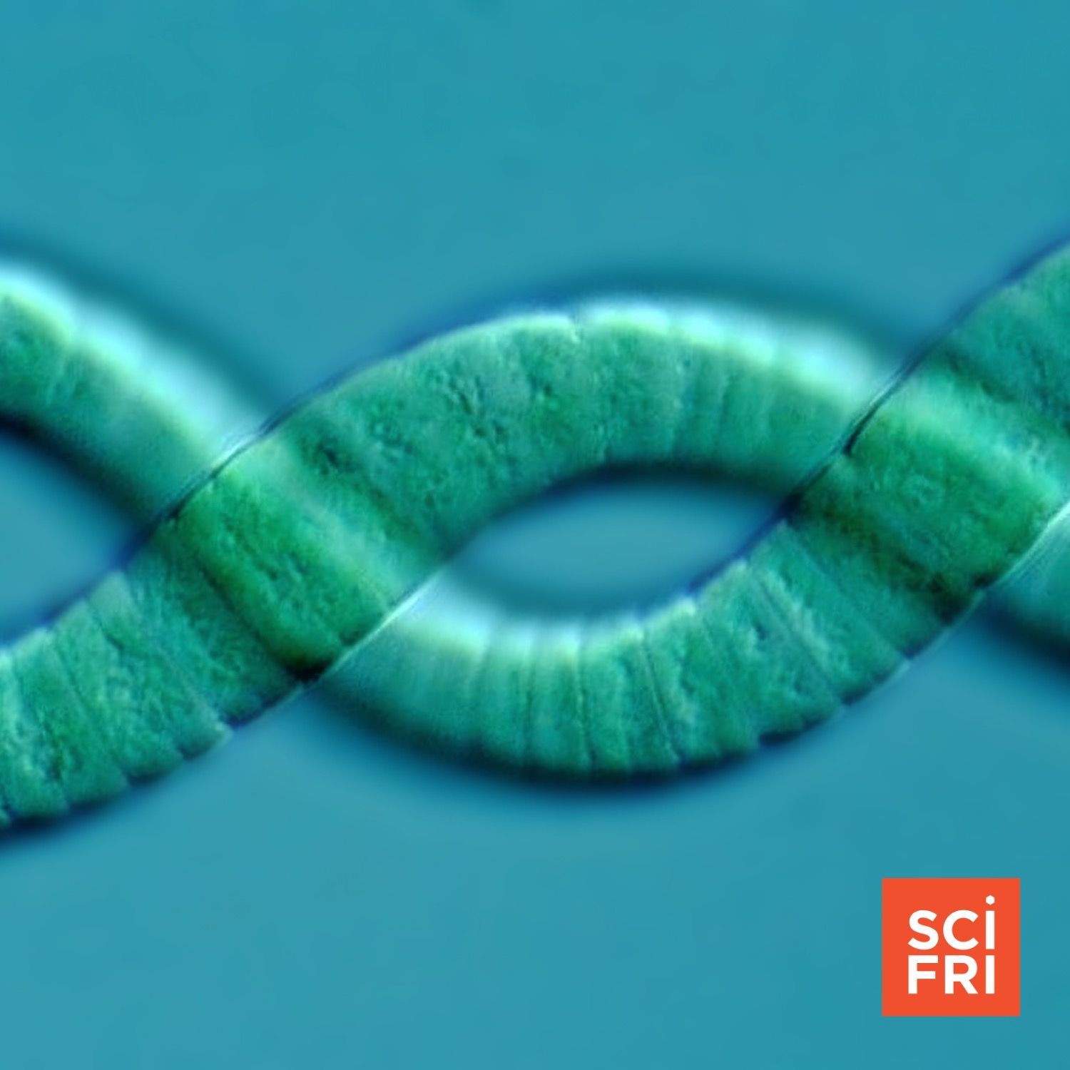 1230: Stressed About The World? Take A Cue From Cyanobacteria episode artwork